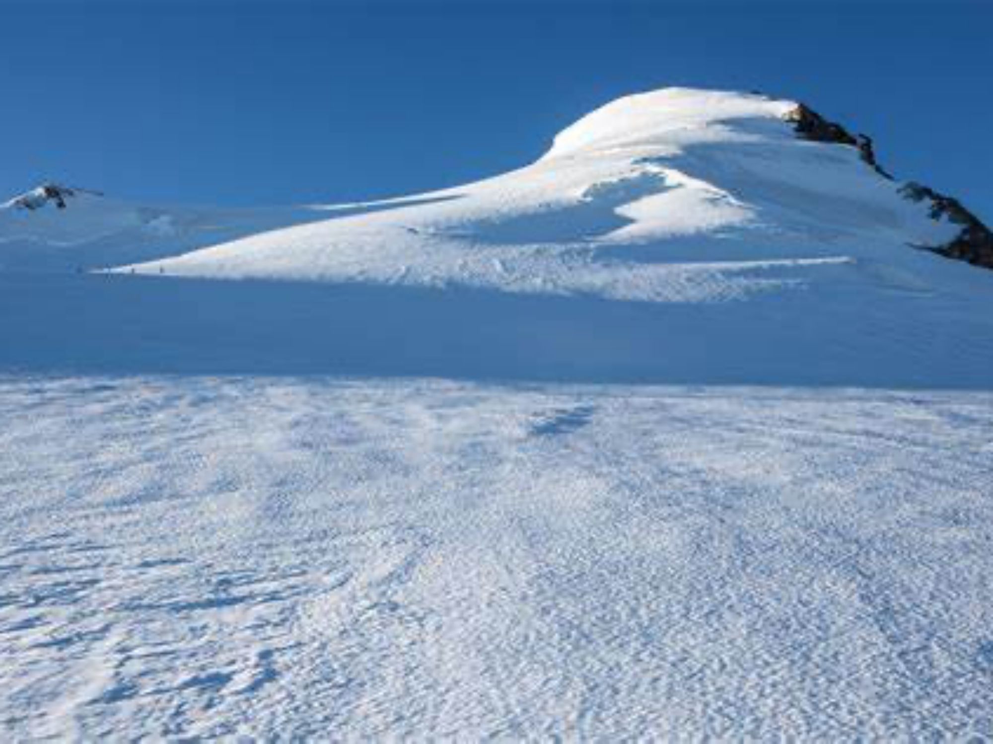Bishorn