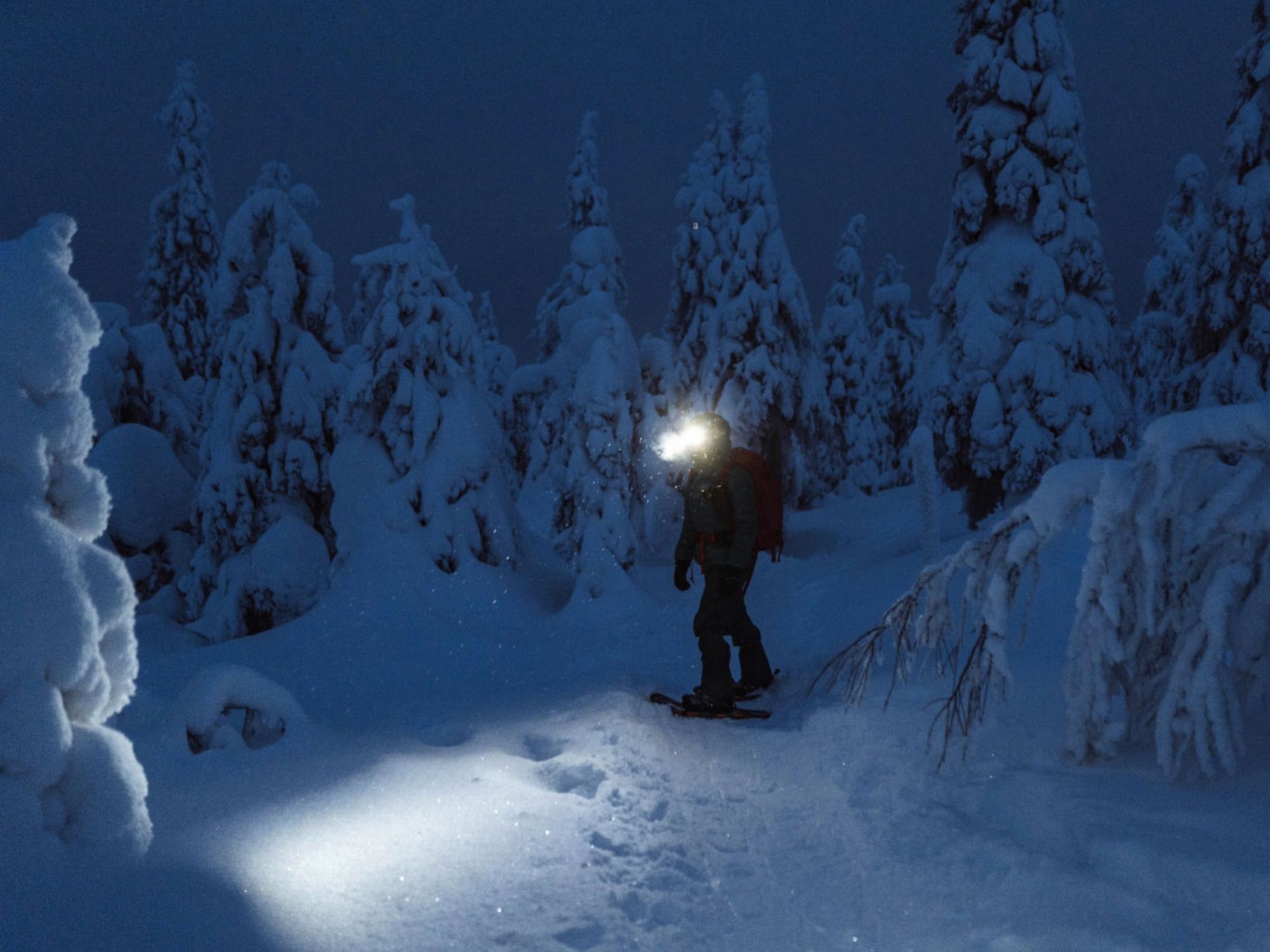 snowshoeing-night-with-fondue