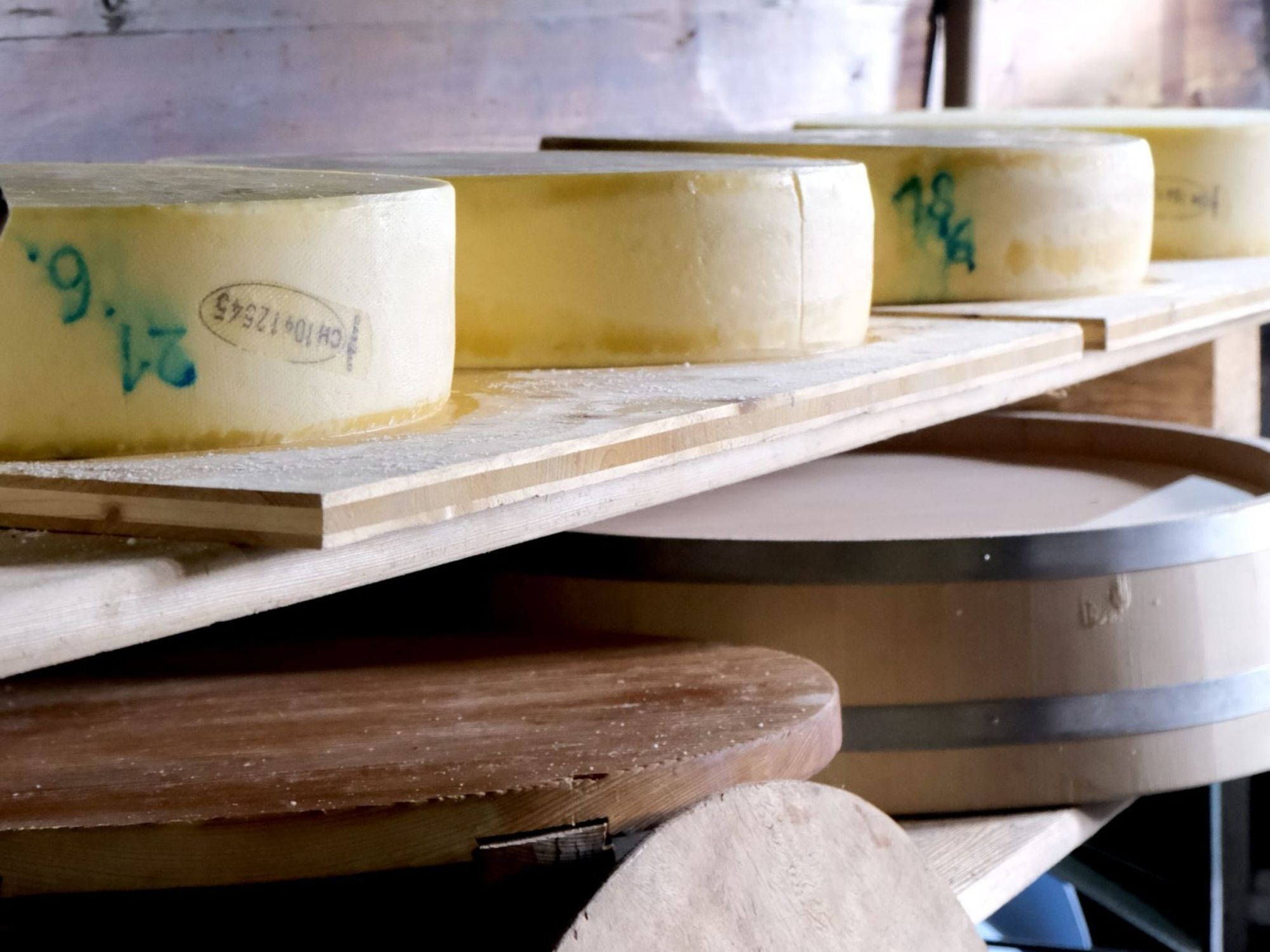 image00007-min-scaled