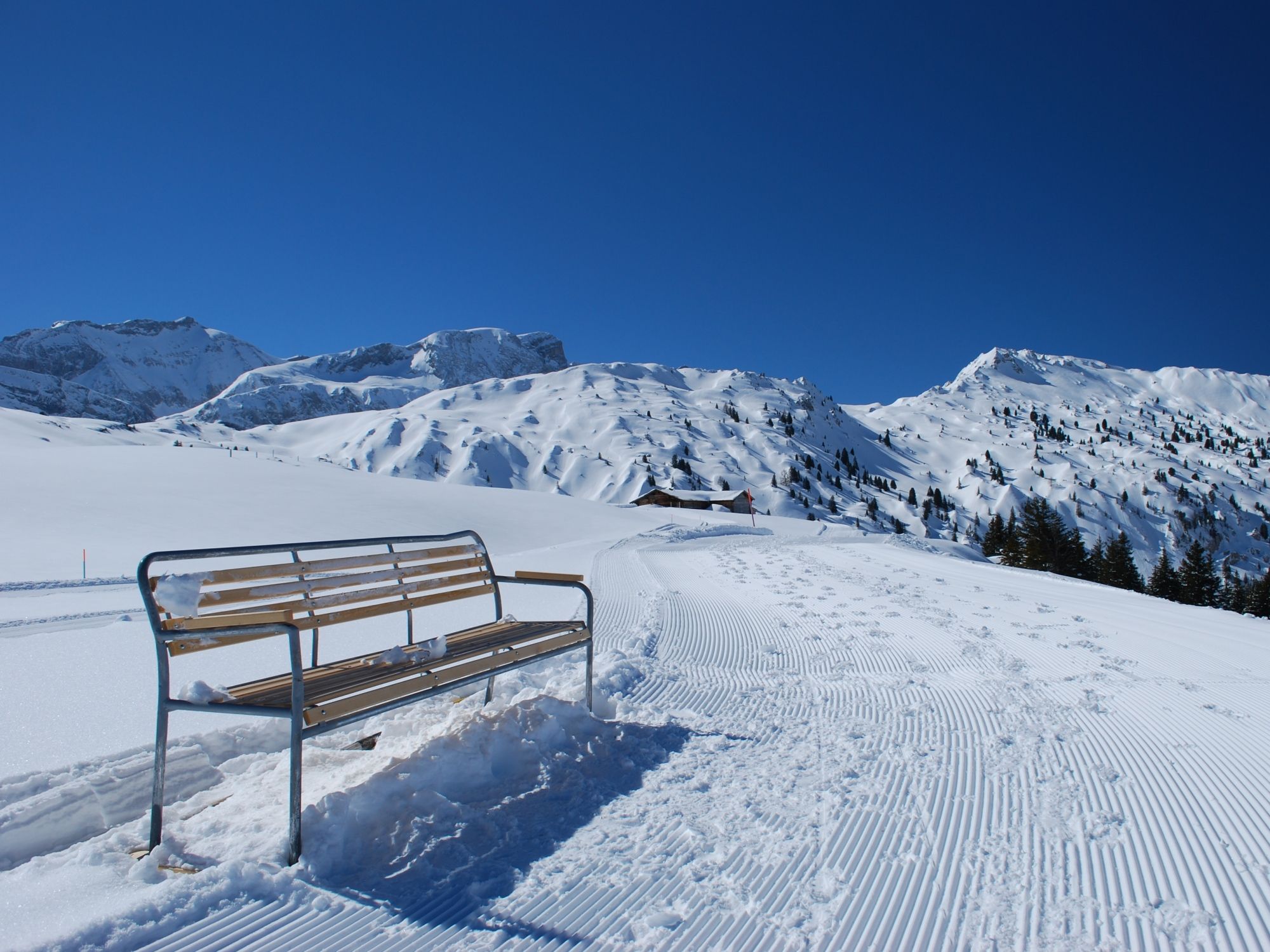Winterwandelen op de Betelberg_1