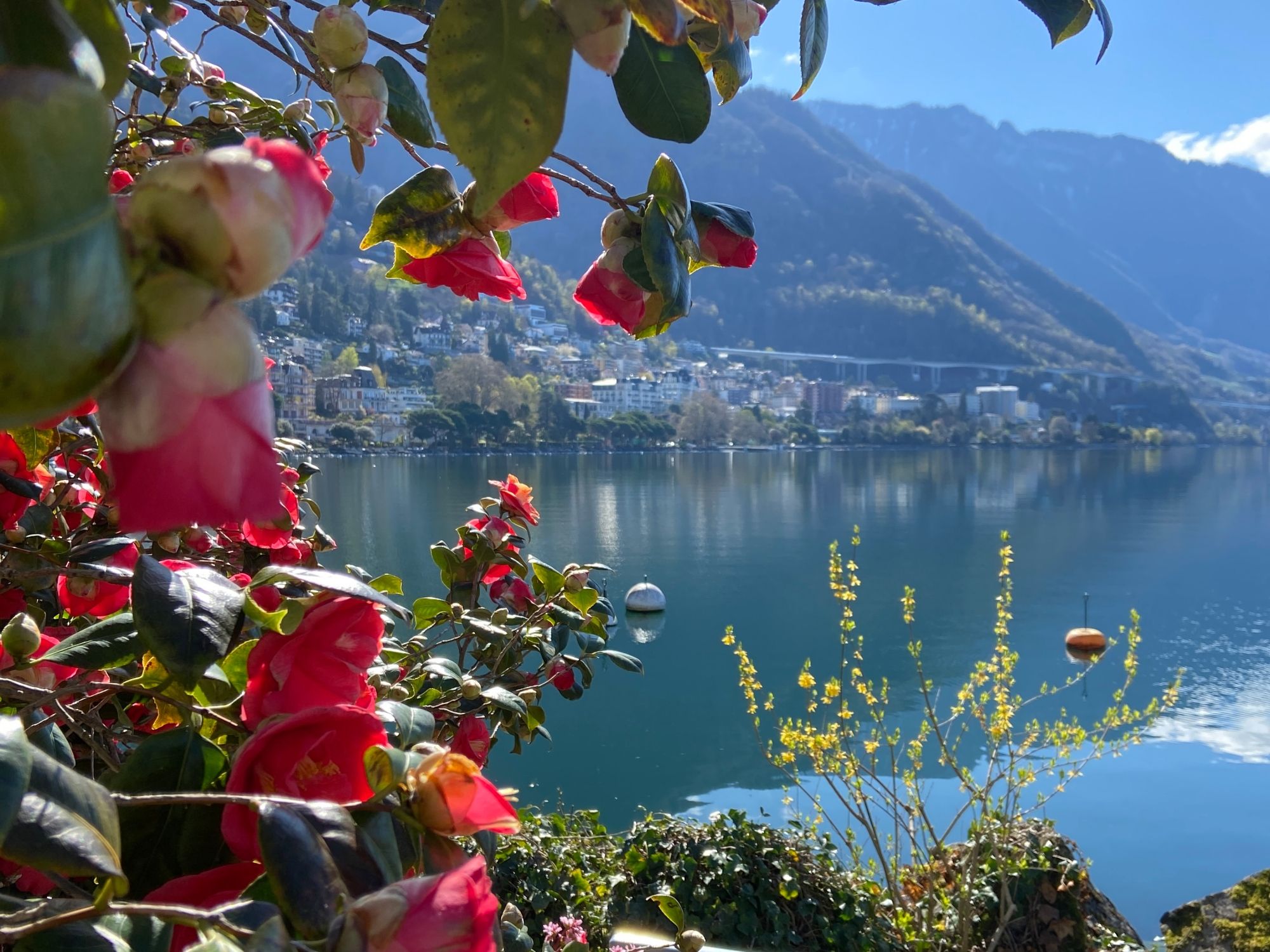 Ιδιωτική ξενάγηση στην πόλη με τρένο για το Rochers-de-Naye από το Montreux