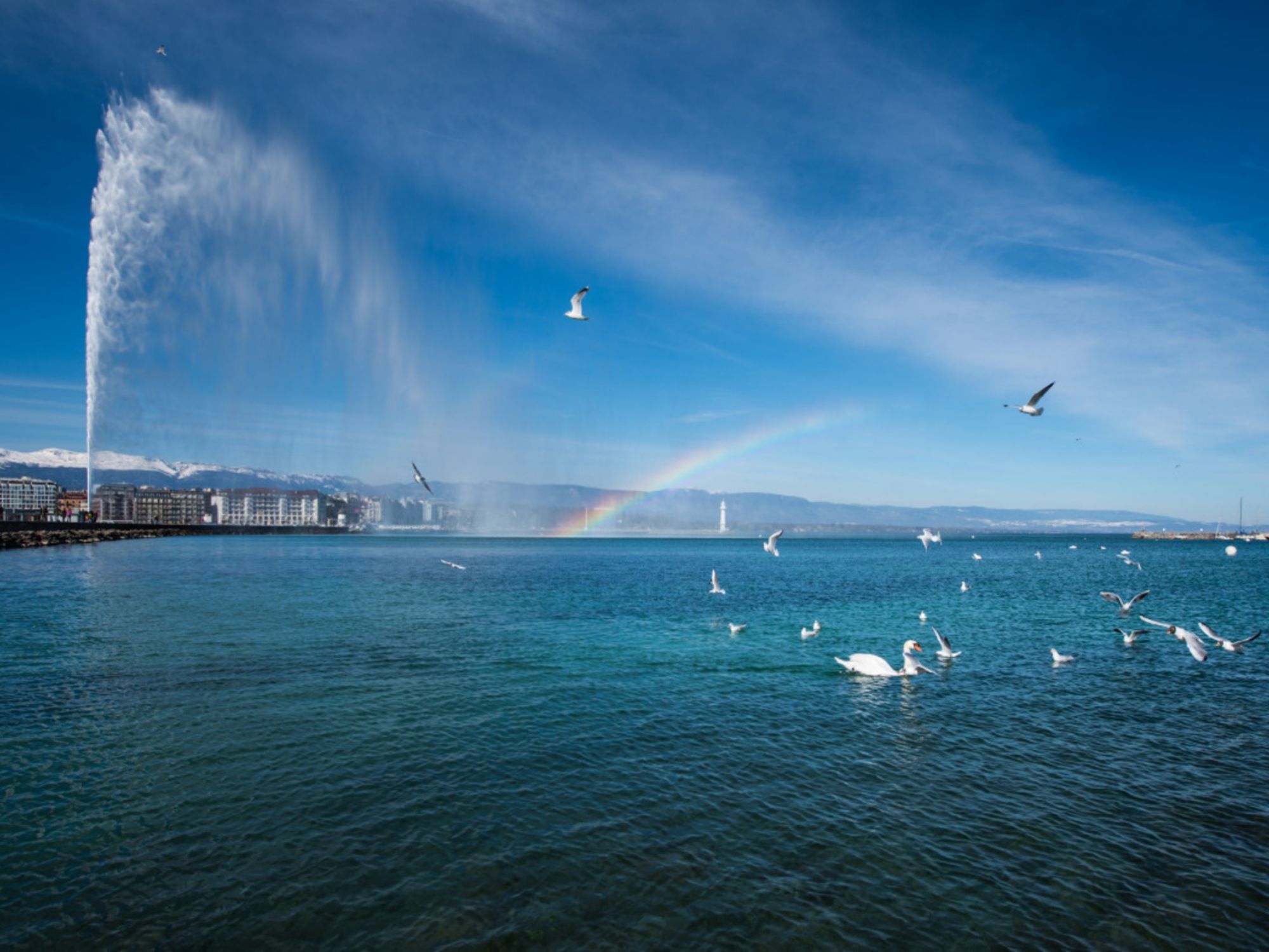 Рад©FGTC_Олів'єМіш-2