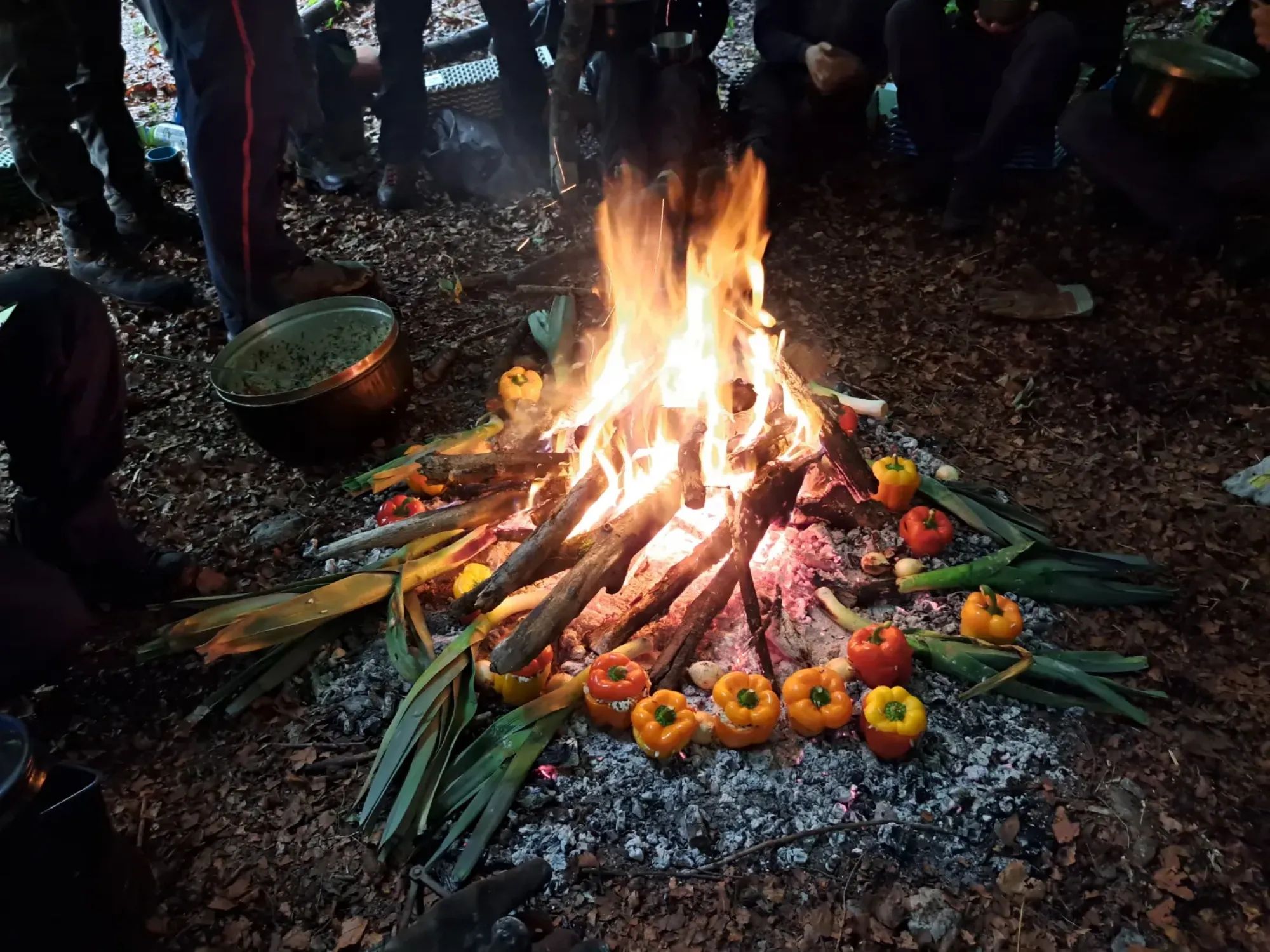 Dapur Api "Masala India" di Wilayah Anggur Zurich