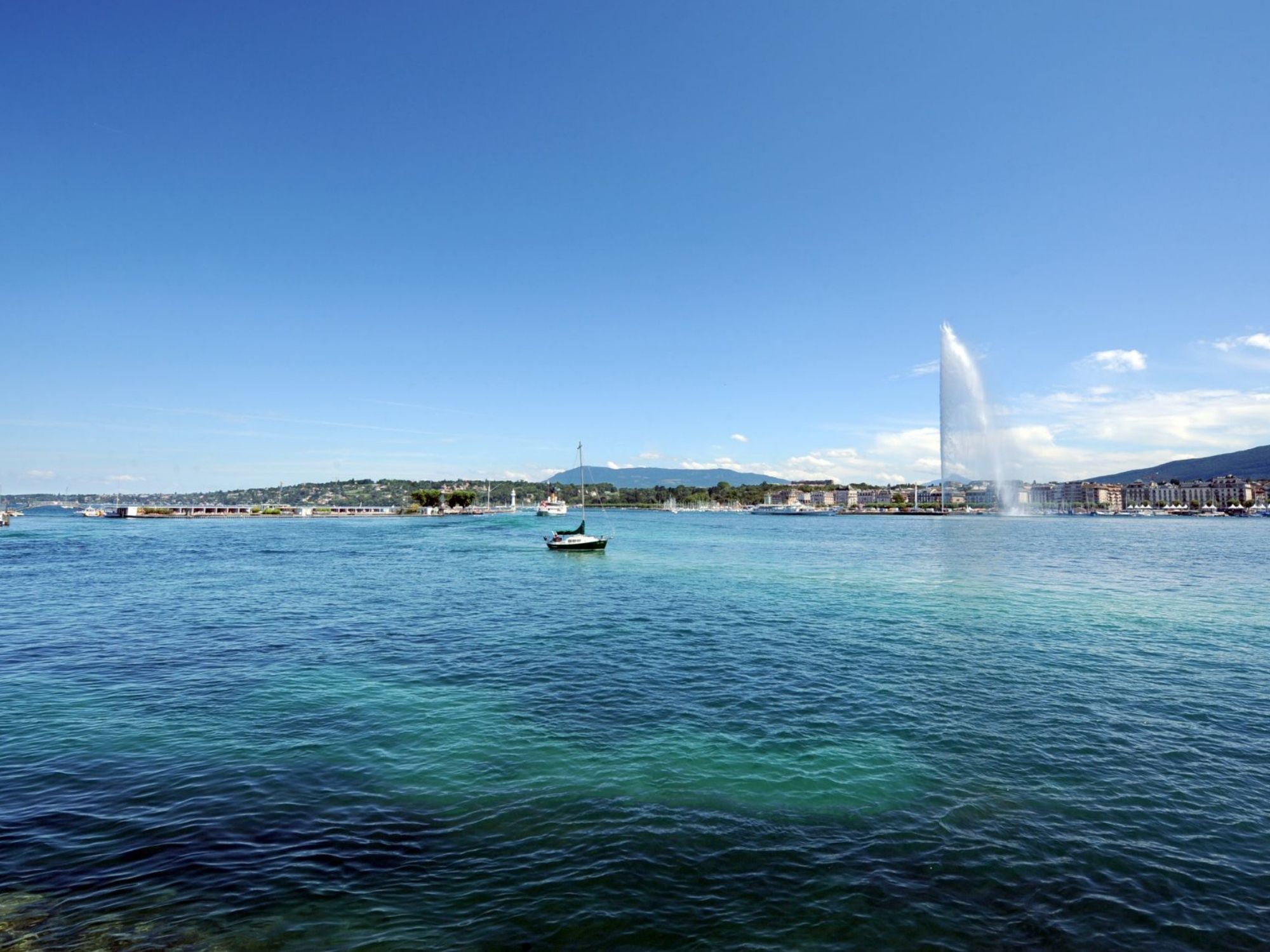 3908652193_798de398f1_o