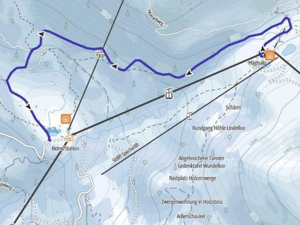 mägisalp-bidmi-schlitteln