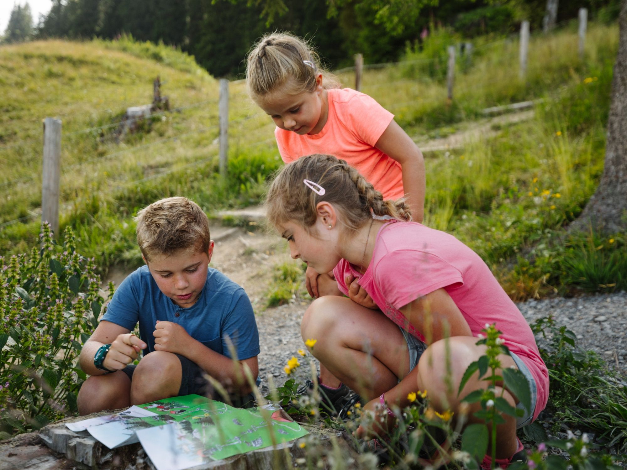 Vogellisiweg Adelboden (1)