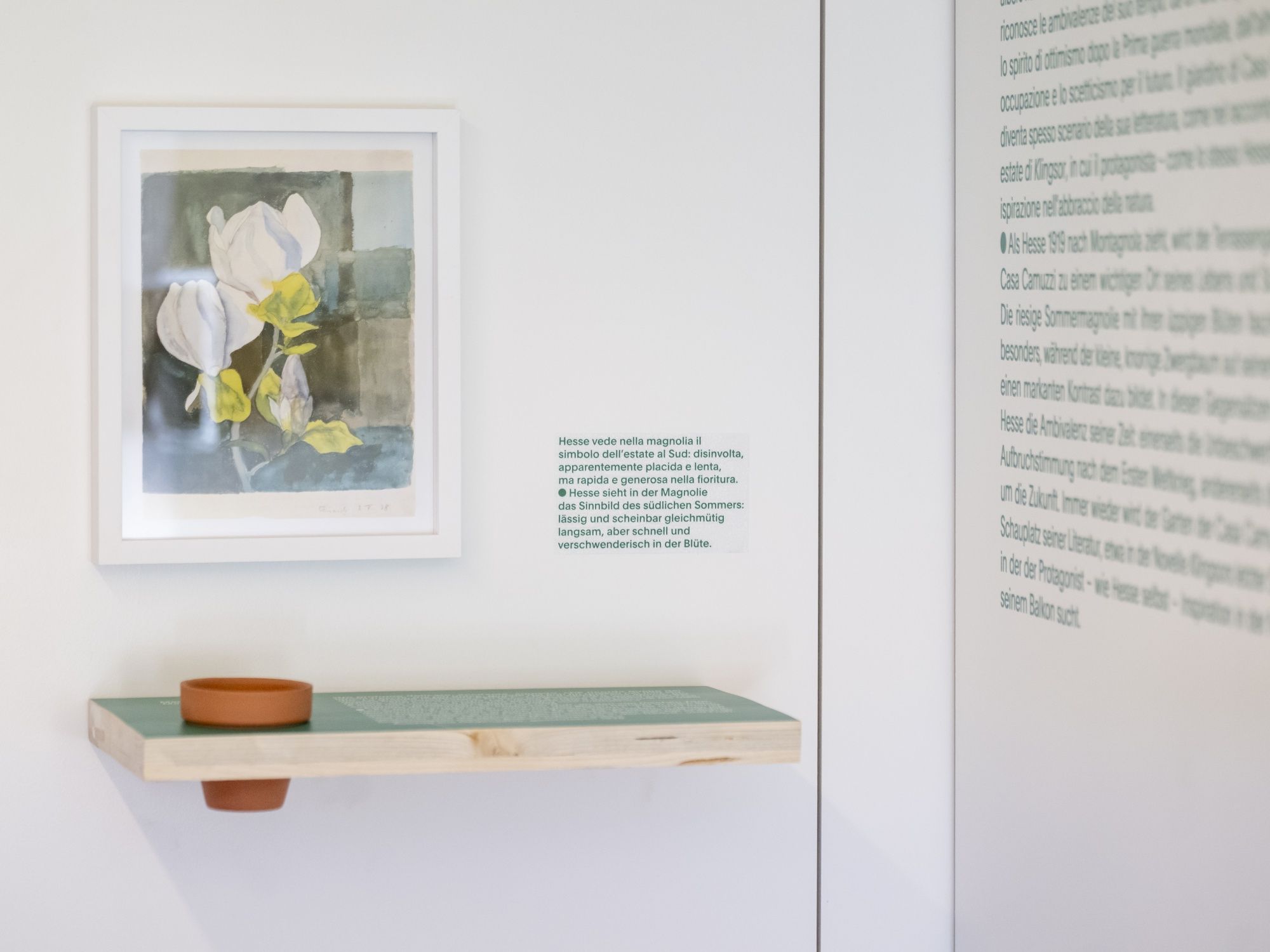 Musée Hermann Hesse, exposition Dans les jardins de Hesse. Station olfactive. © Musée Hermann Hesse Montagnola