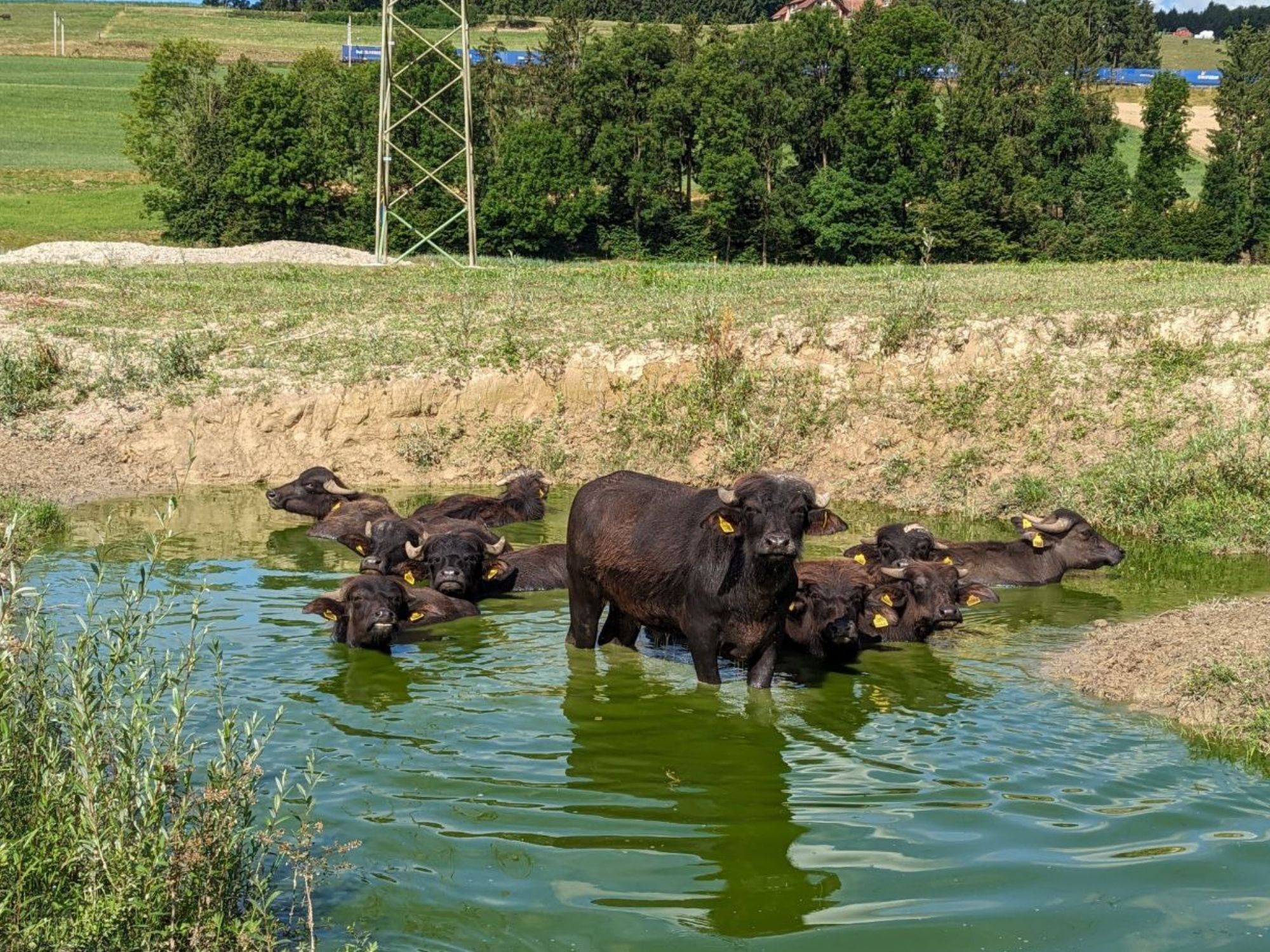 photo_2026-01-05_19-31-32