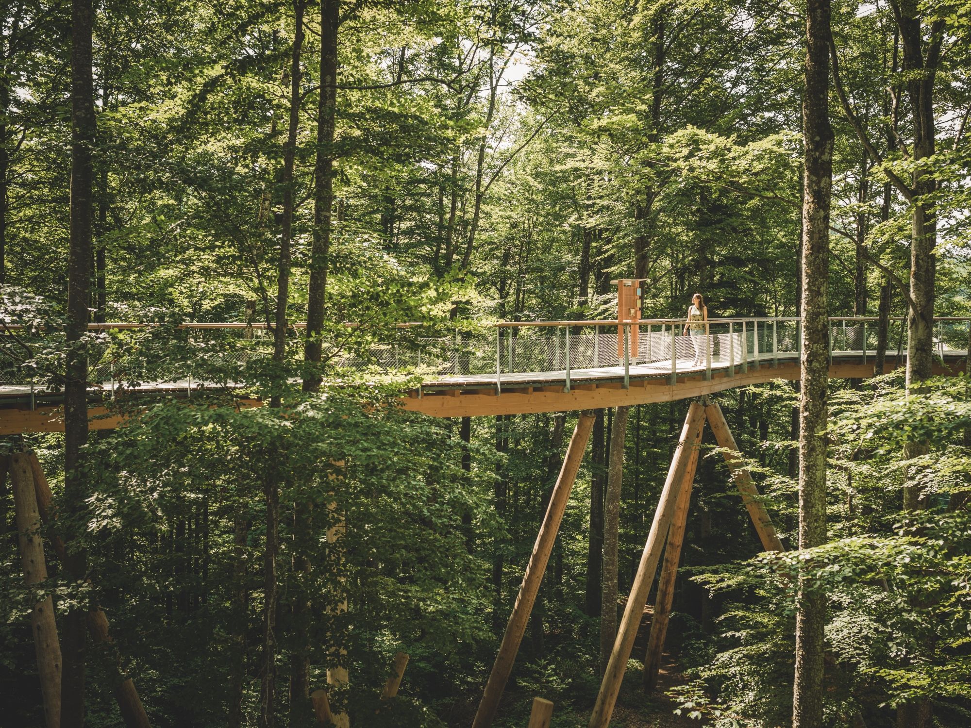 BWP-Sommer-Sti-02