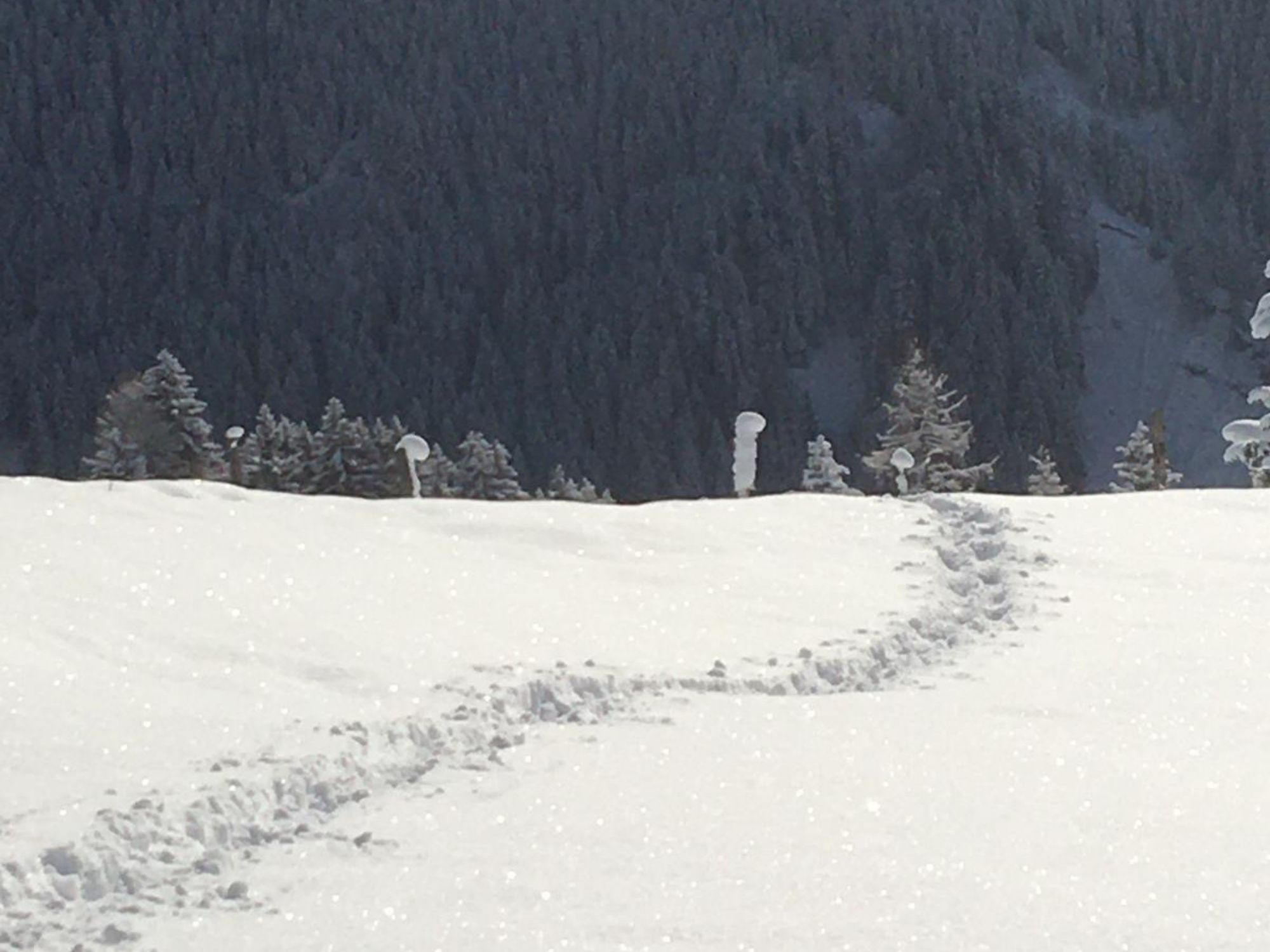 jelajah-salji-berkasut-4