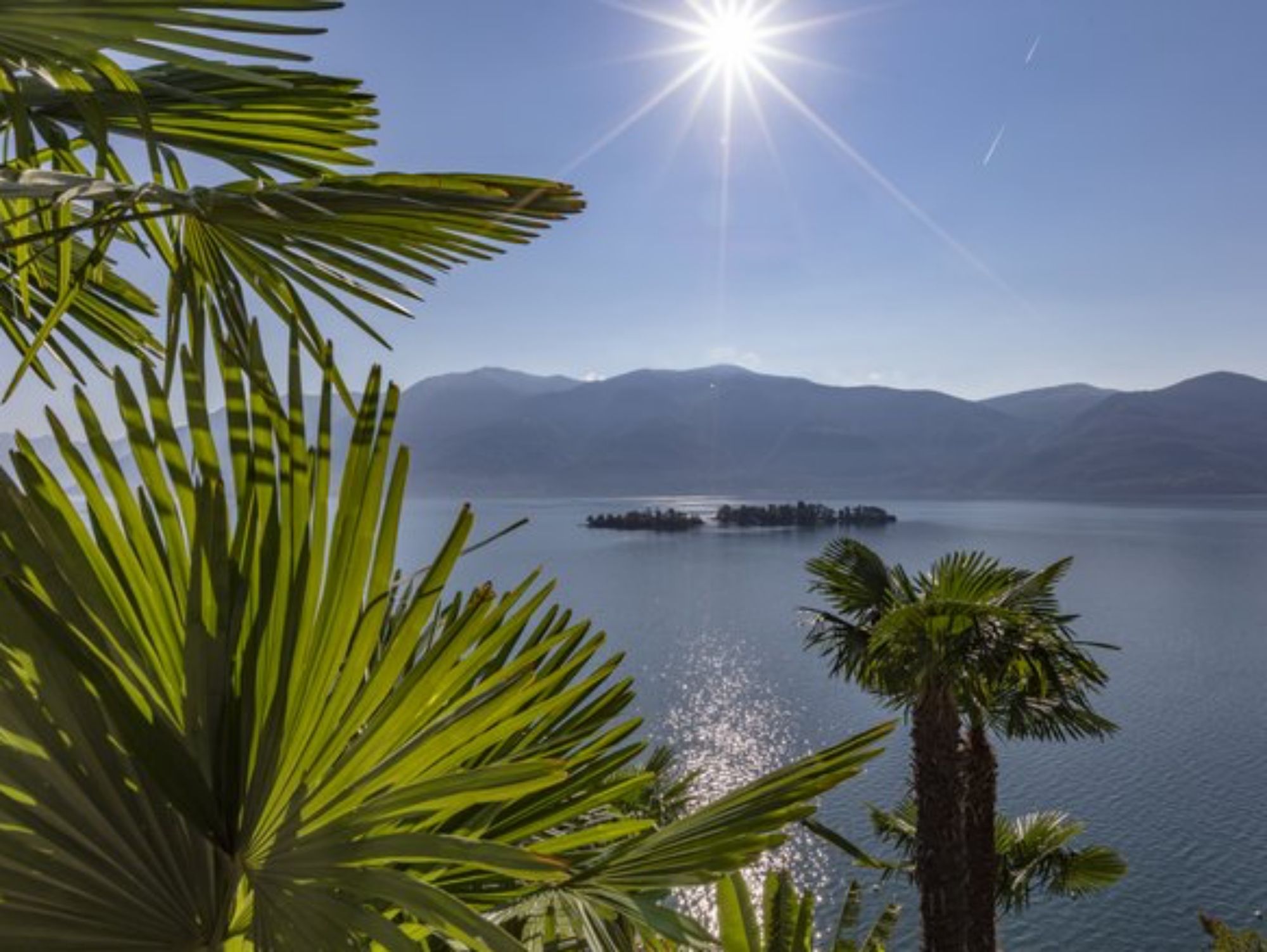 أسكونا-لوكارنو (10)