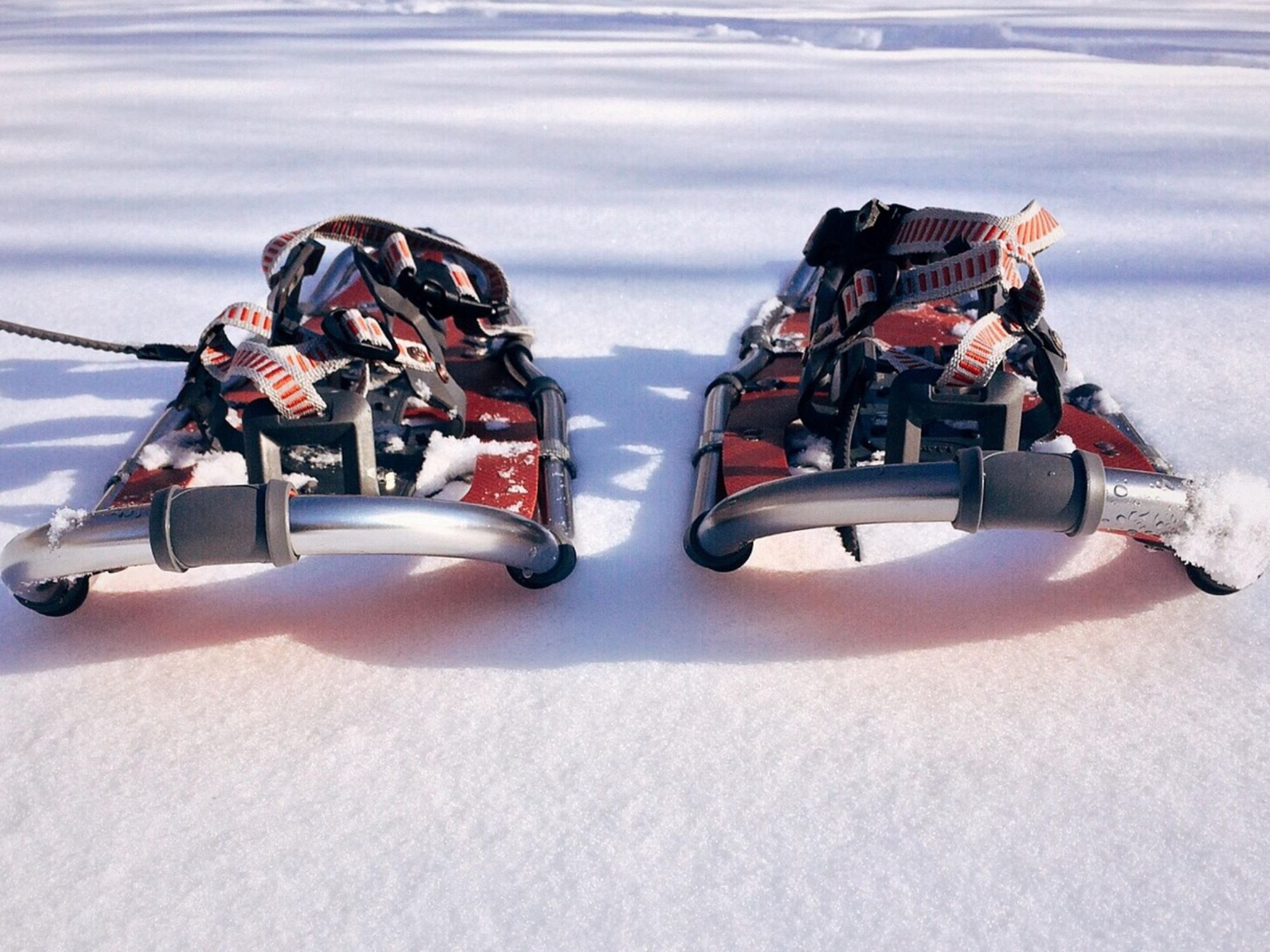 pagouromouni-1983135_1280