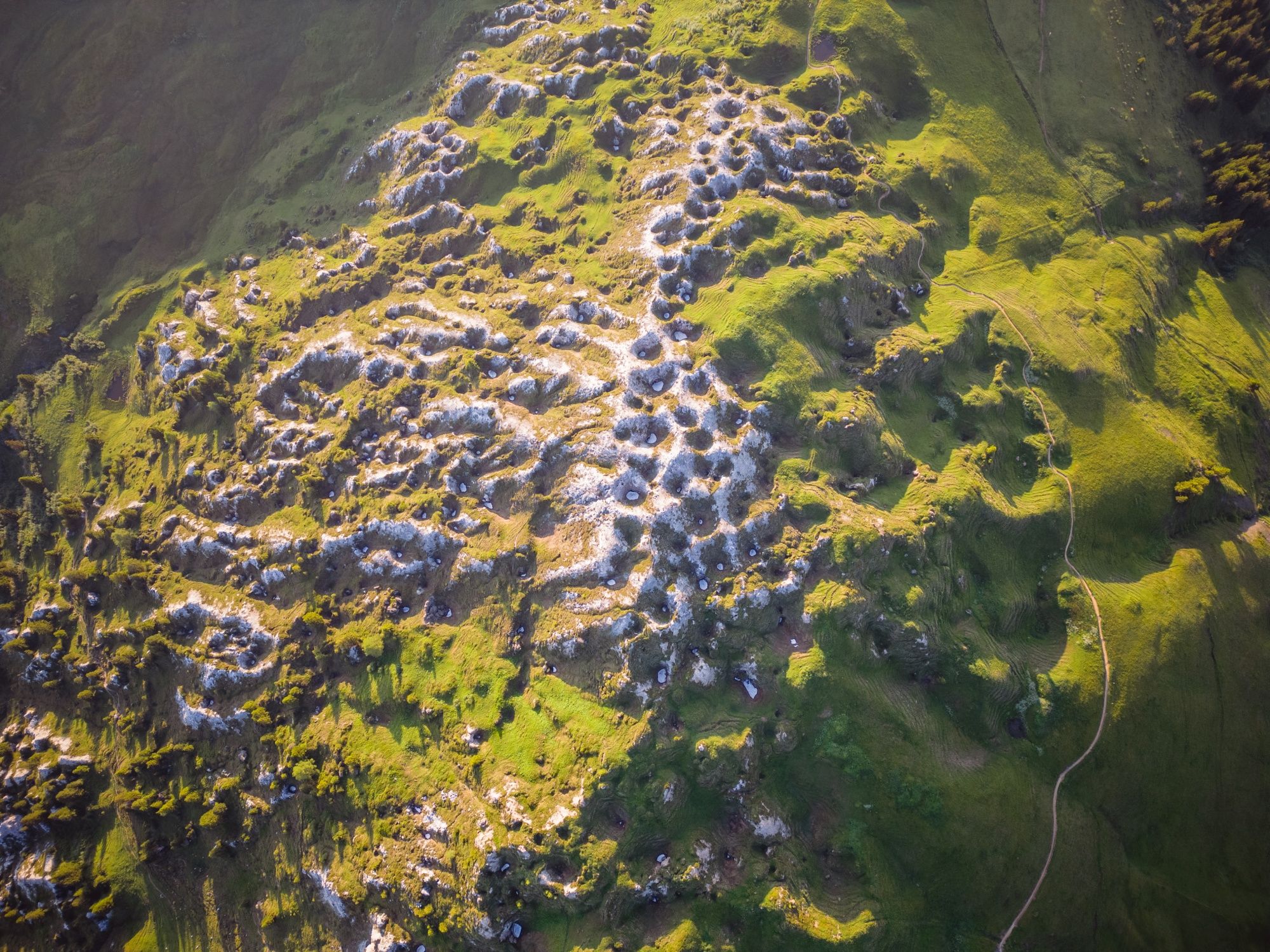 Gryden Höhenrondwandeling (4)