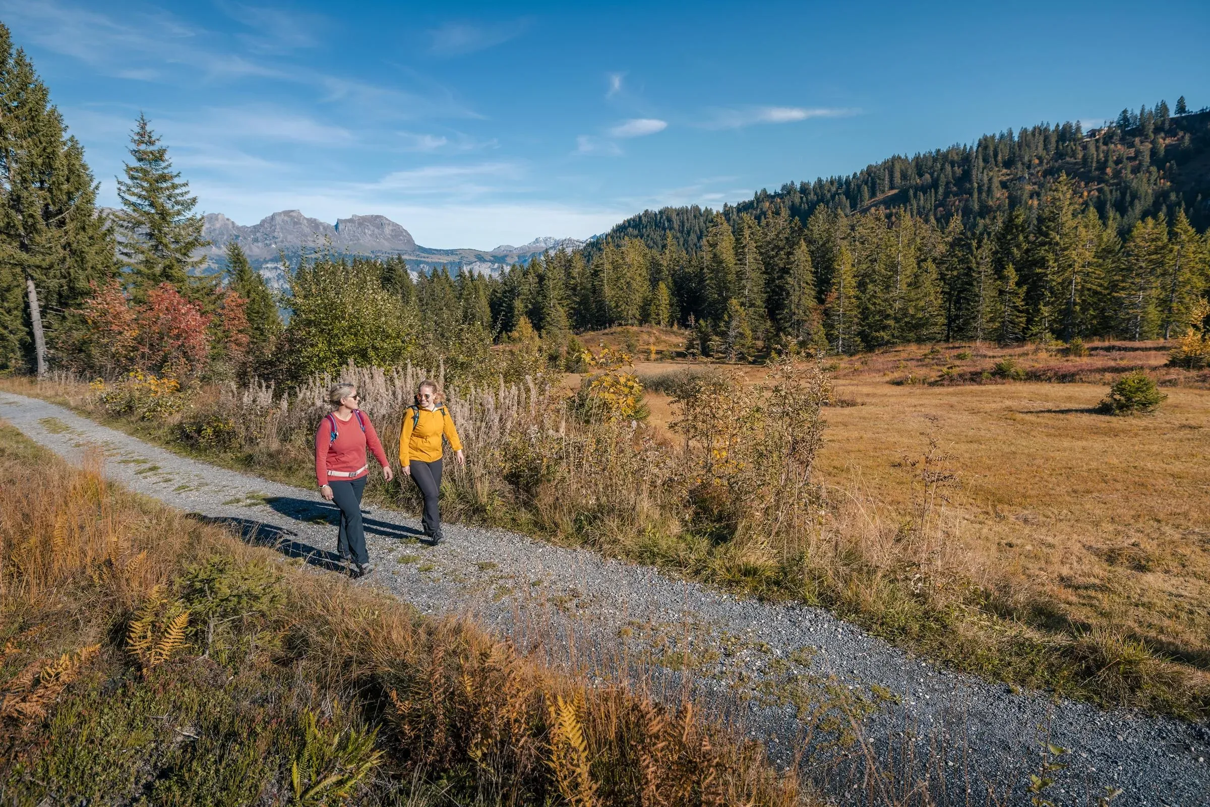 69ead5af4fcba5e5-mzf8gv0jv9eh1z3