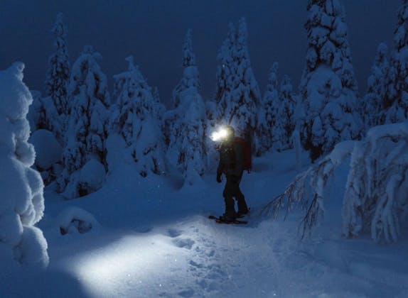 Schneeschuh Night Adventure inkl. Fondue Champéry