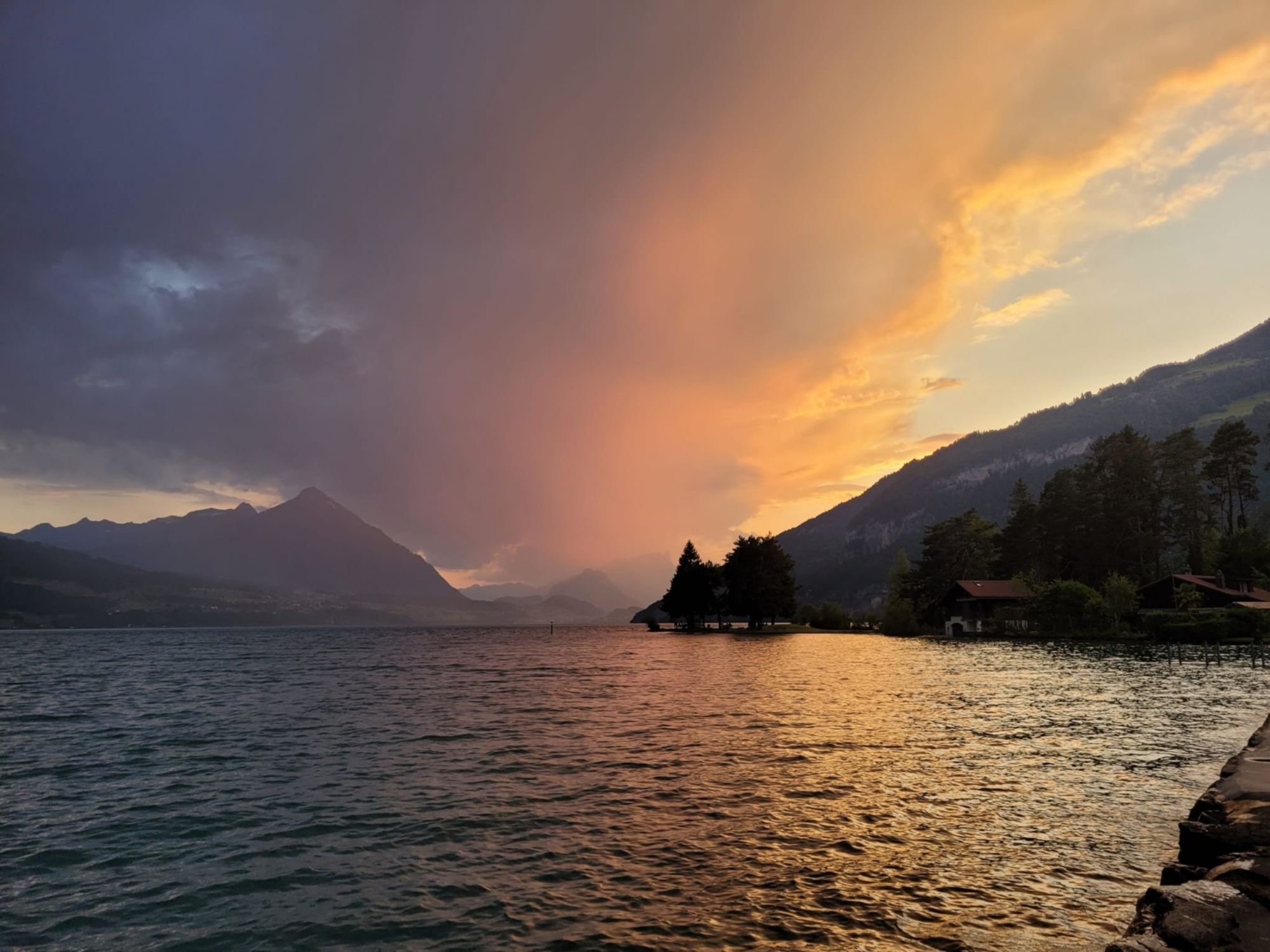 02 Velo Galben Ora Magic Lacul Thun