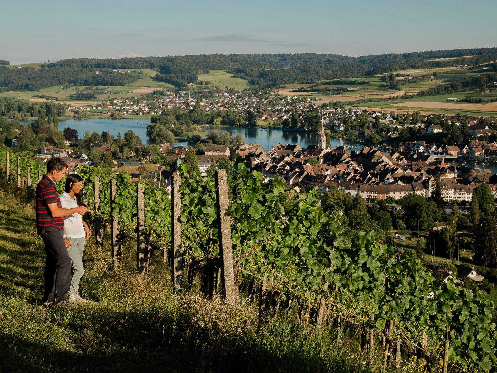 Dégustation privée de vin et de chocolat à Stein am Rhein