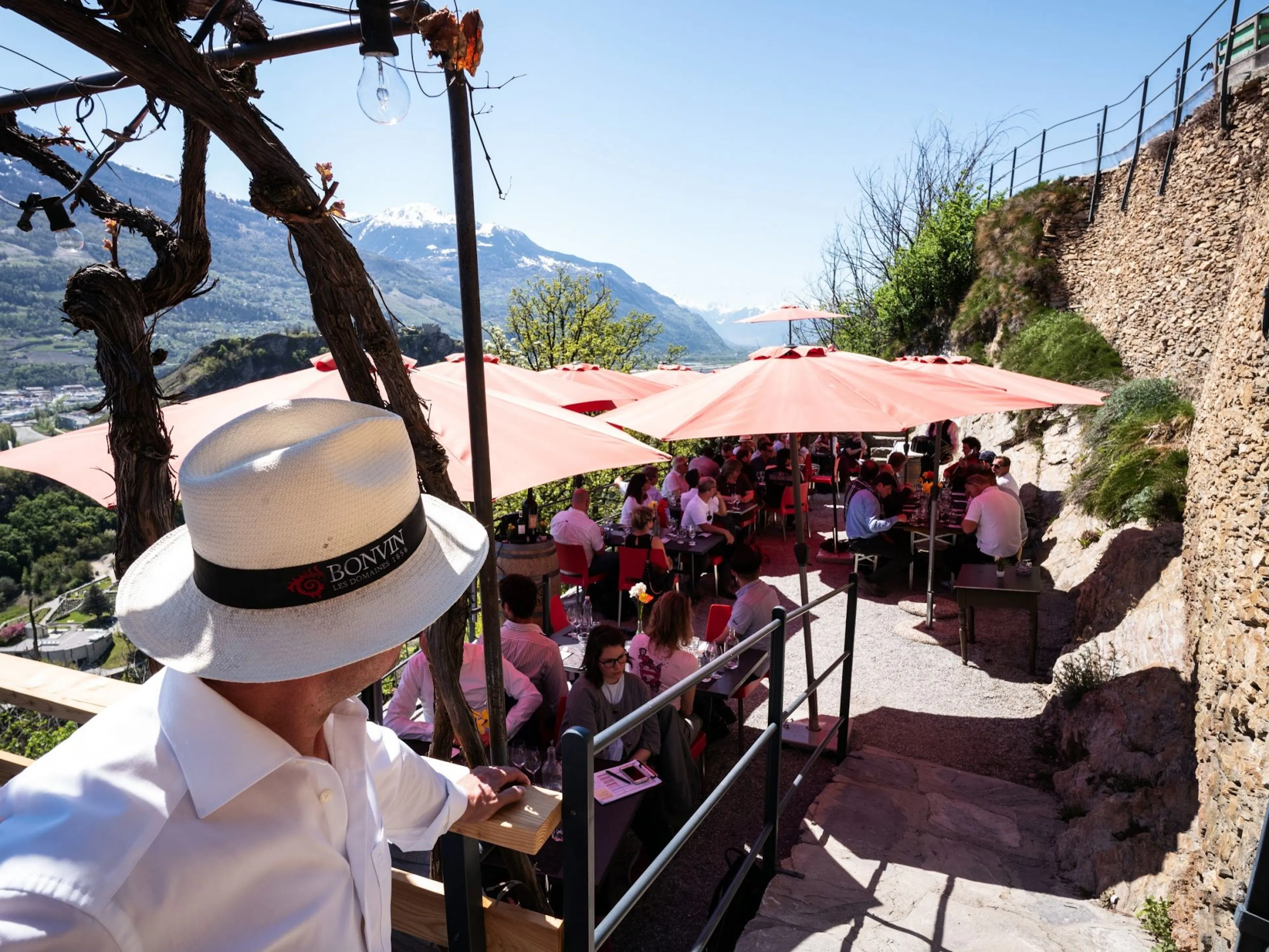 Tur E-Bike Mandiri di Kebun Anggur termasuk Menu dari Sion