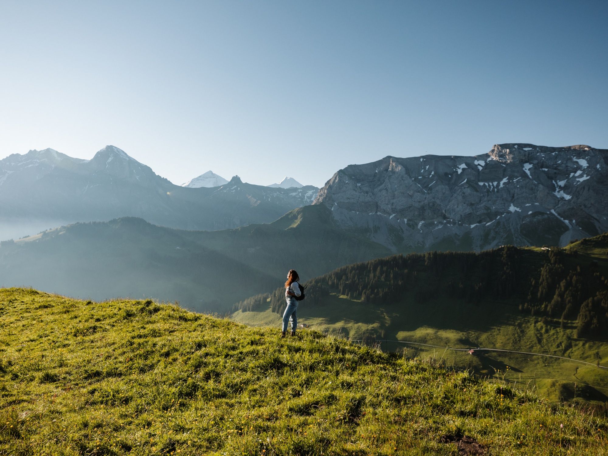 Alpenbloemenpad Adelboden (5)