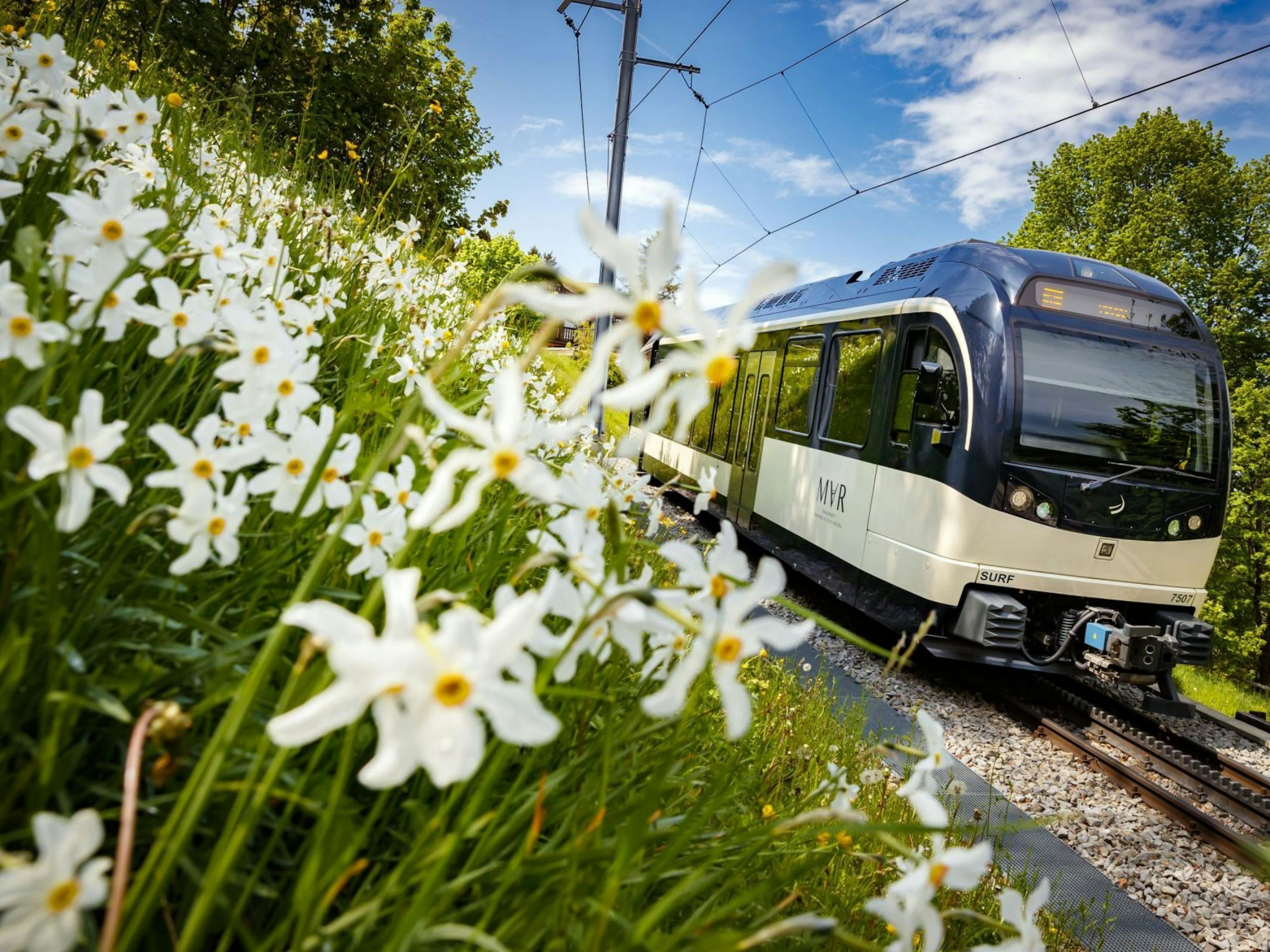 Billete Tren Metro de Montaña Vevey - Les Pléiades
