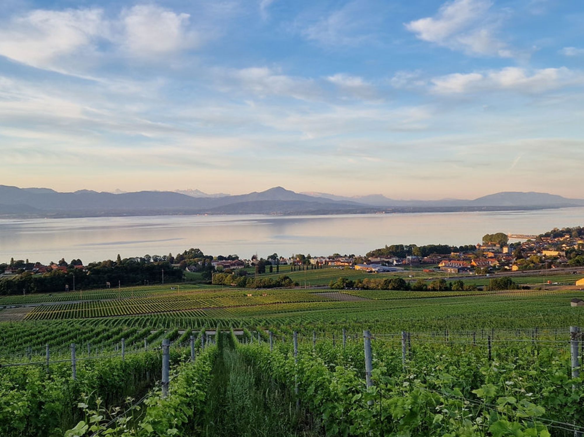 Pamje e majave Mont Blanc në Kështjellën e Nyonit