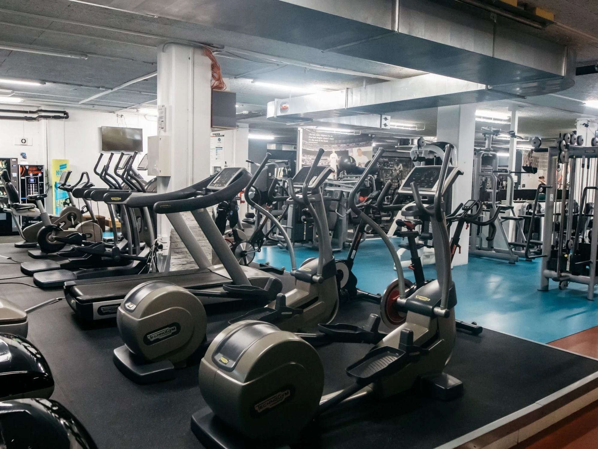 Lionsoul - Standardowa kopia