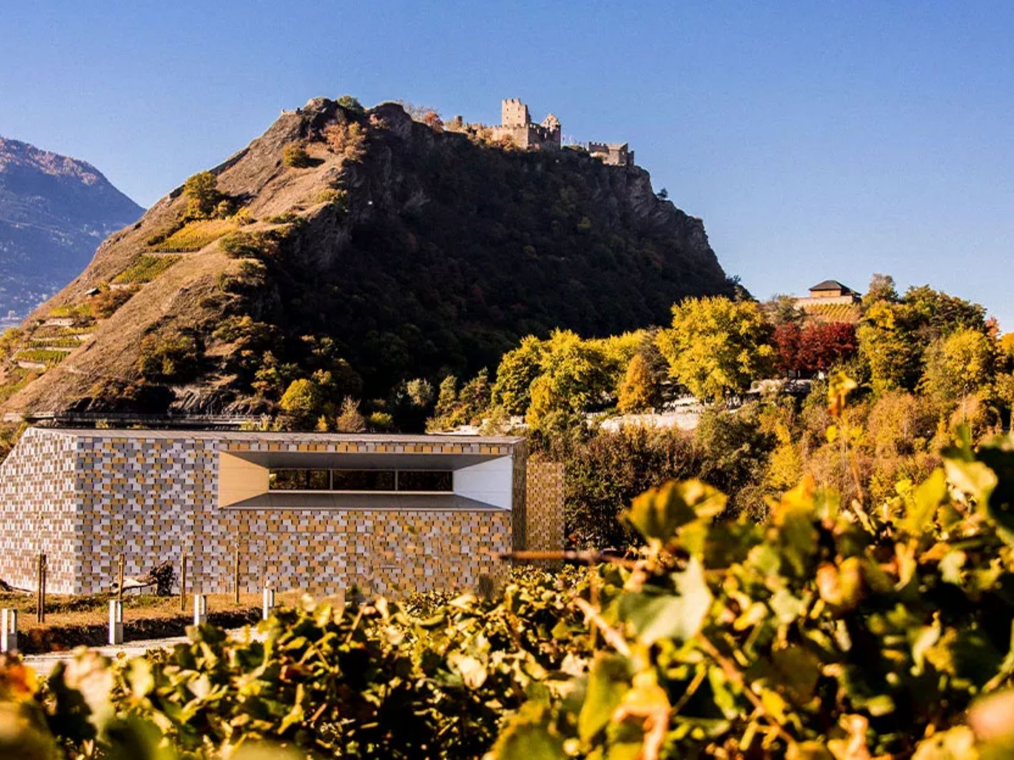 xheader-oenoparc-1.jpg.pagespeed.ic.N6TSkFHf85