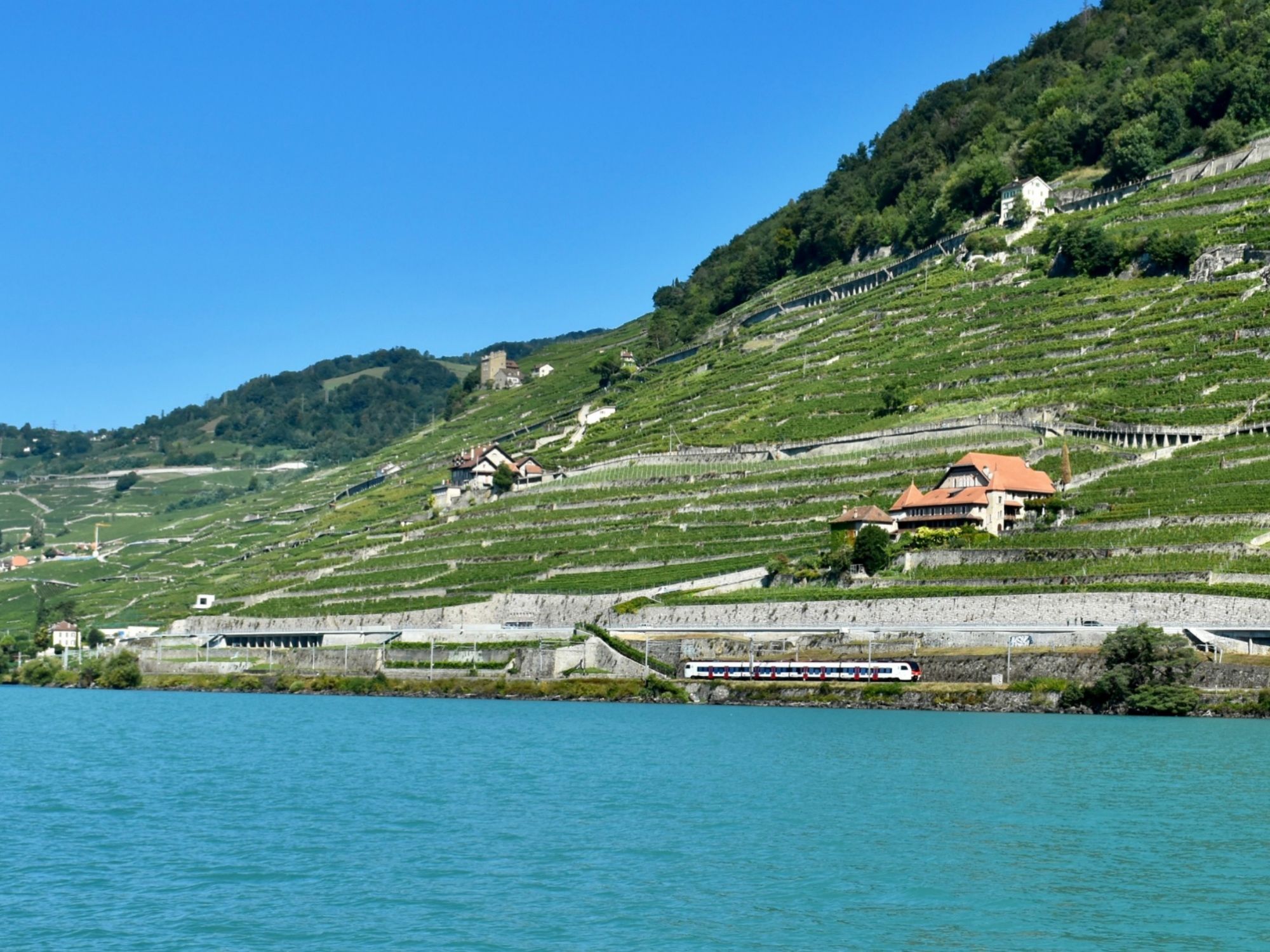Kayak Following John - Lavaux(UNESCO)