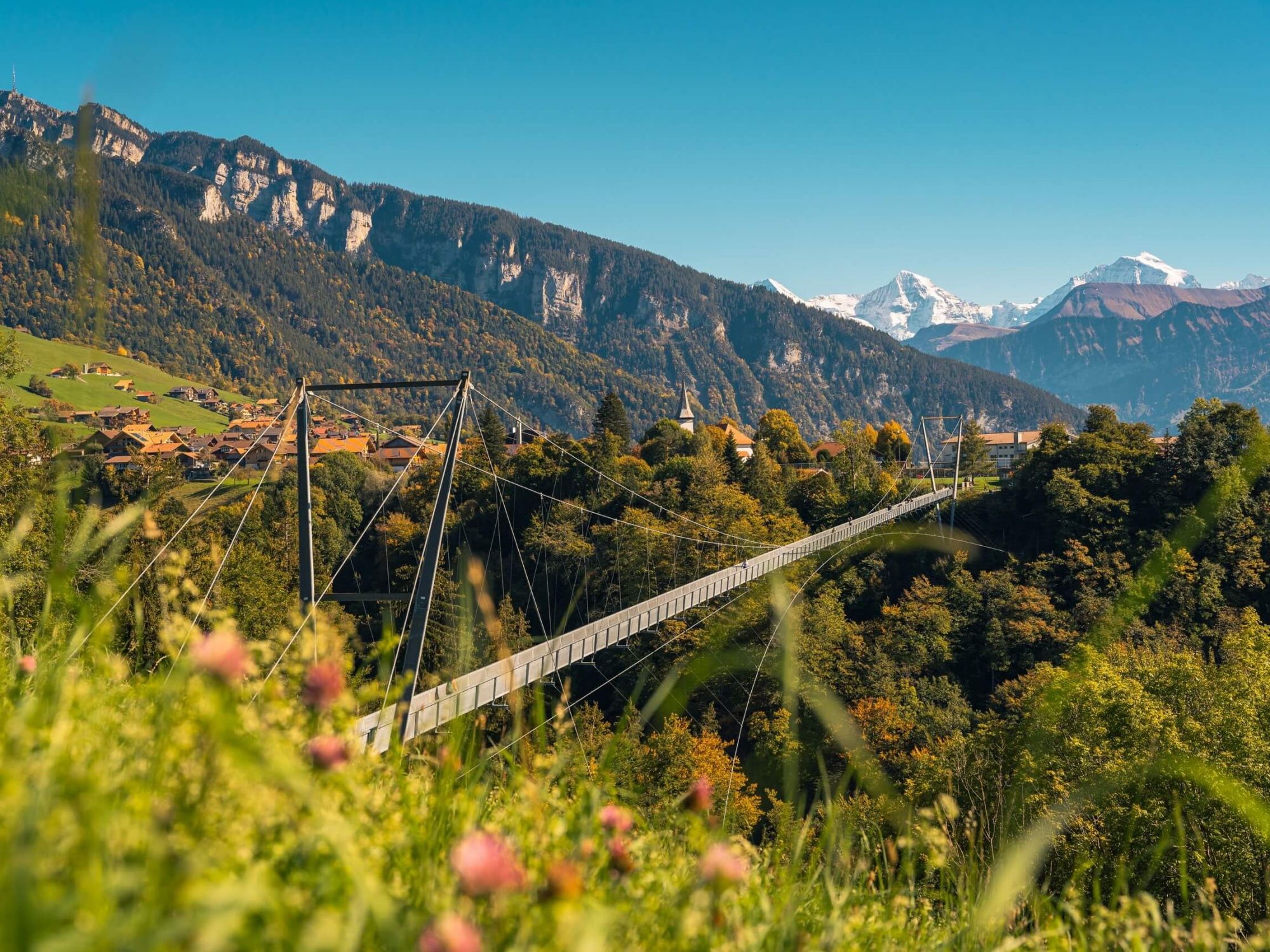 Sigriswill_panorama_bridge_crash_landing_on_you