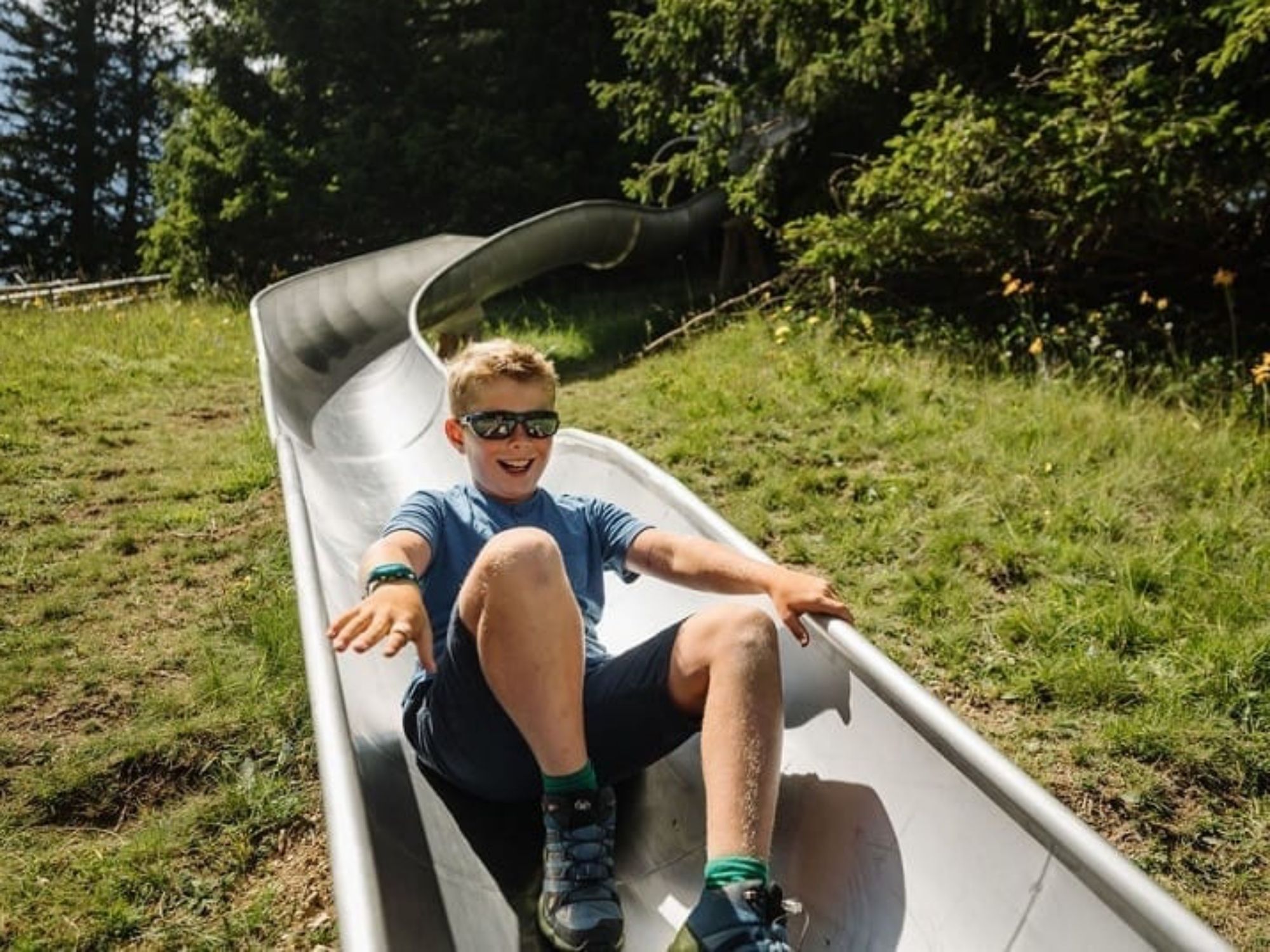 famille_de_Sillerenbuehl__803