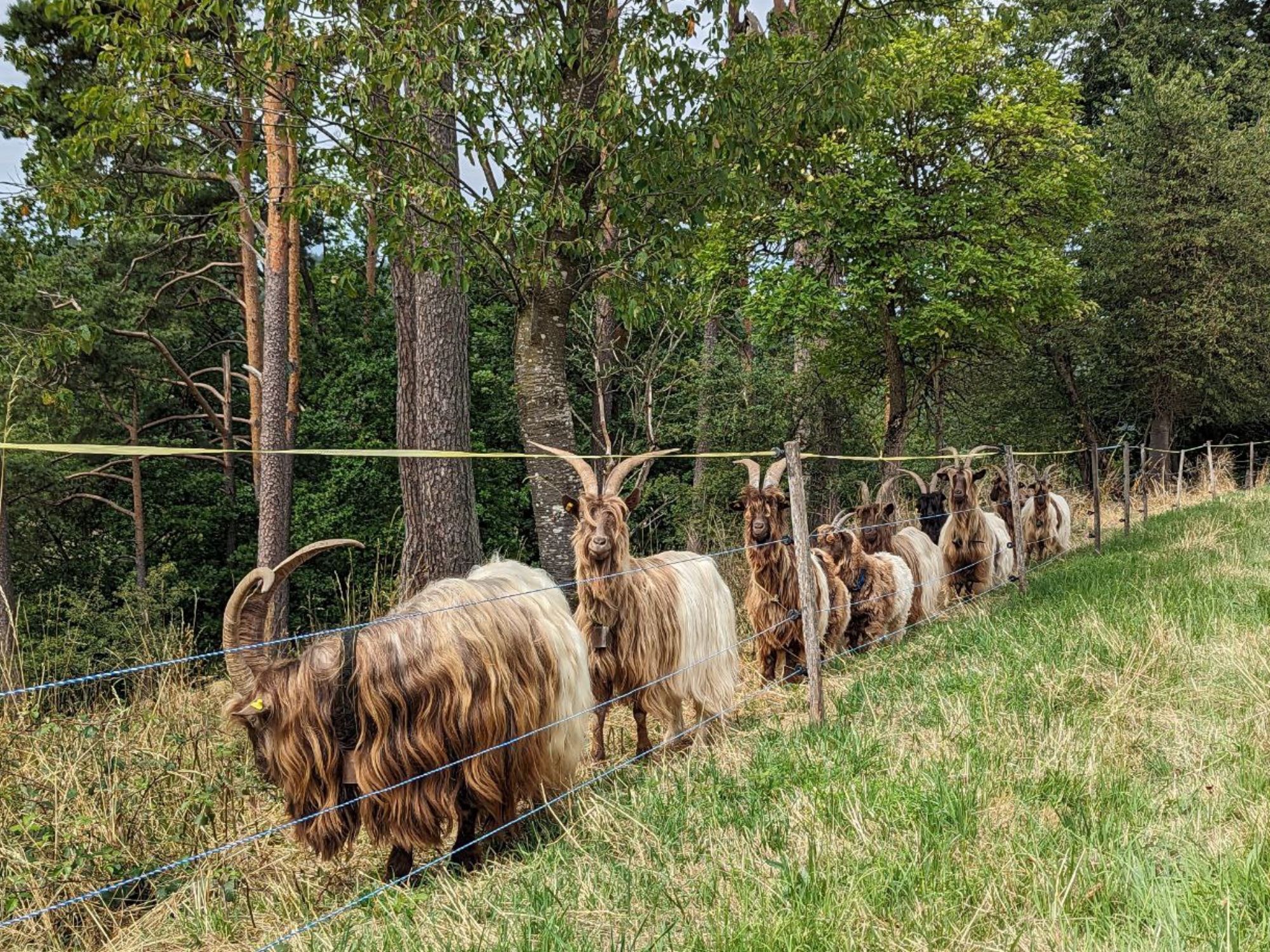 photo_2026-01-05_19-31-51