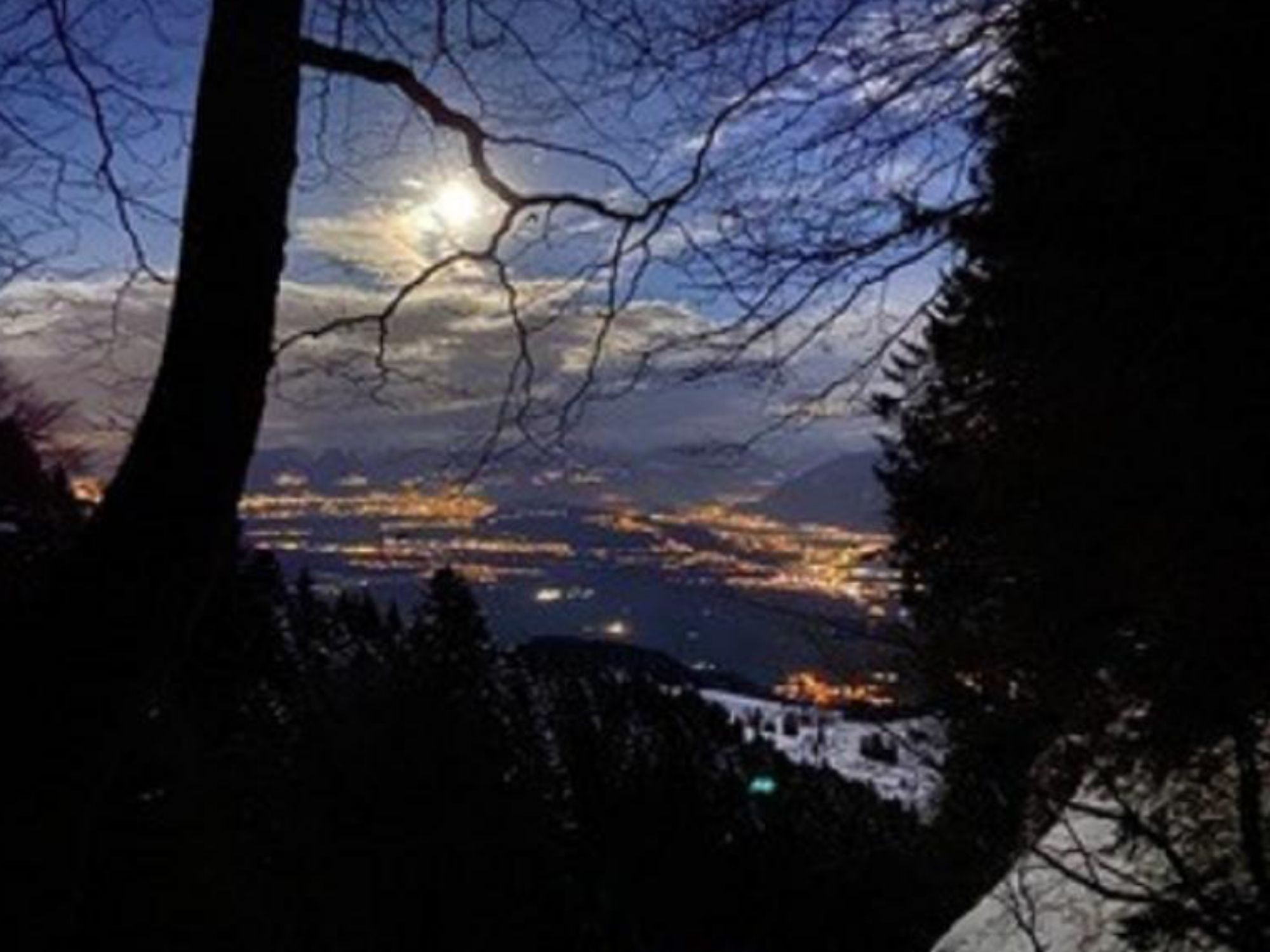Vollmond Wald