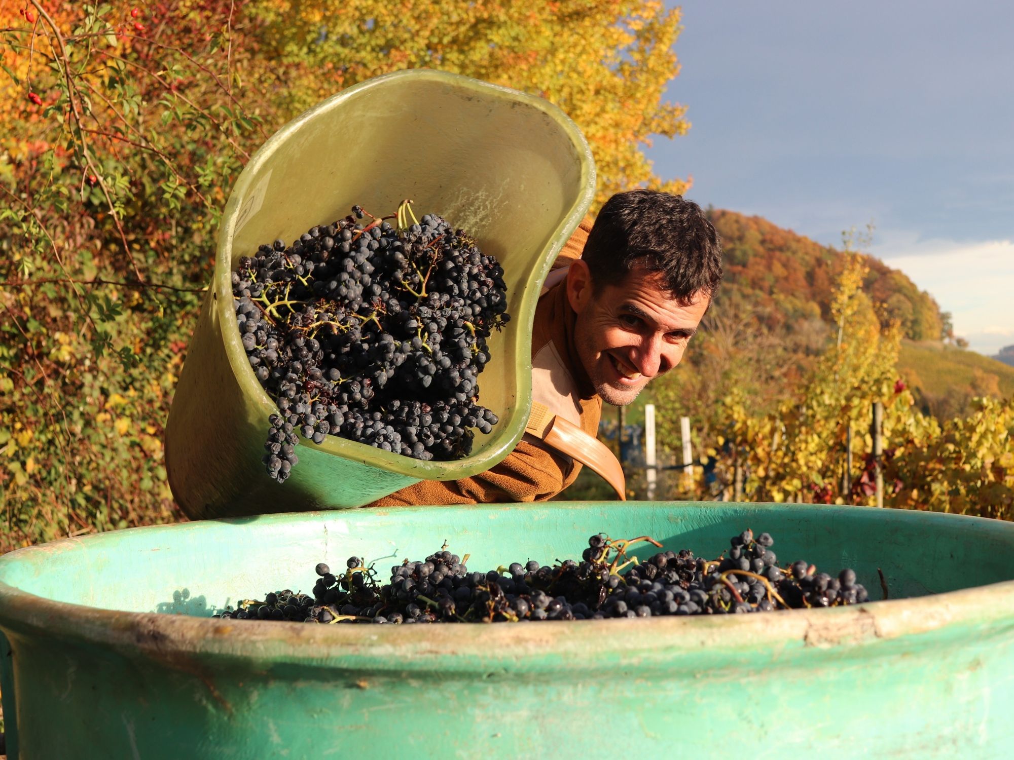 Otwarte degustacje win i serów w Stein am Rhein