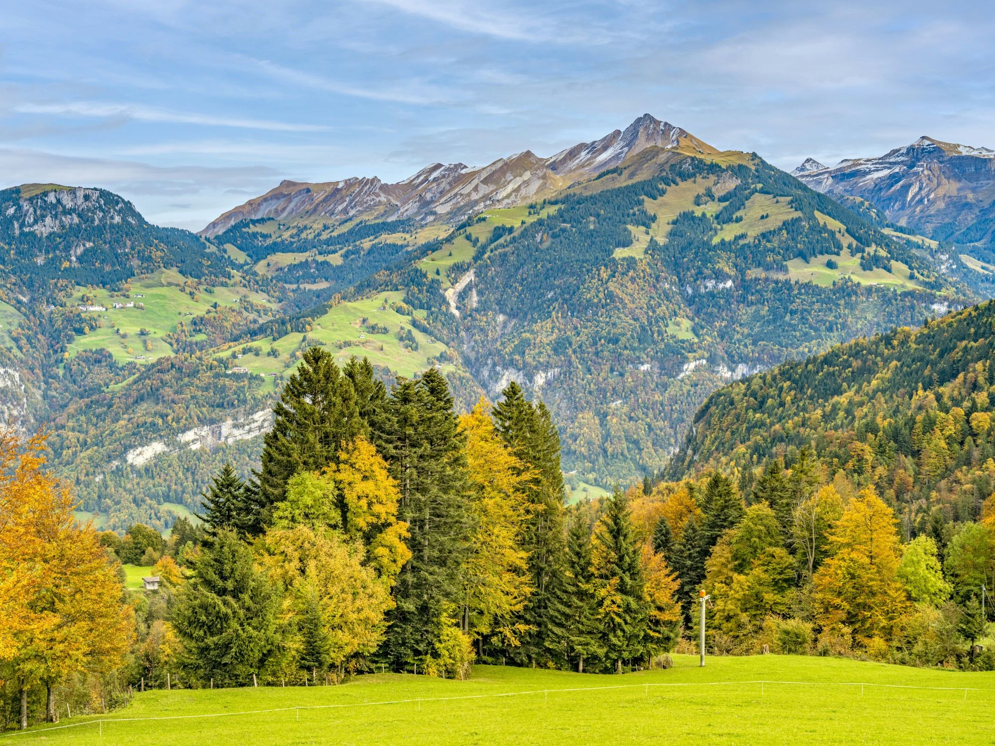 laurin-vontobel-_sfduKrjOdc-unsplash