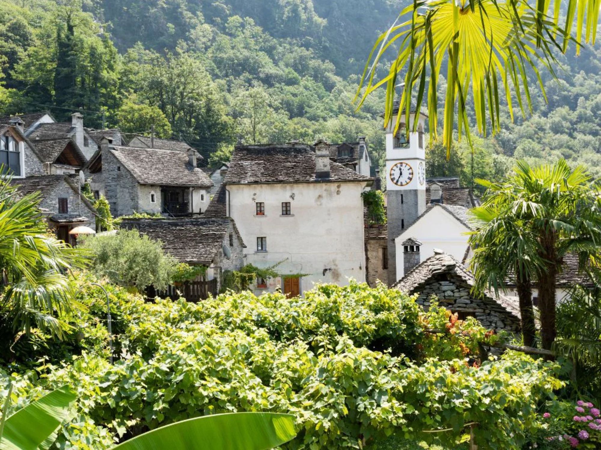 batch_maggia2 (1) копия