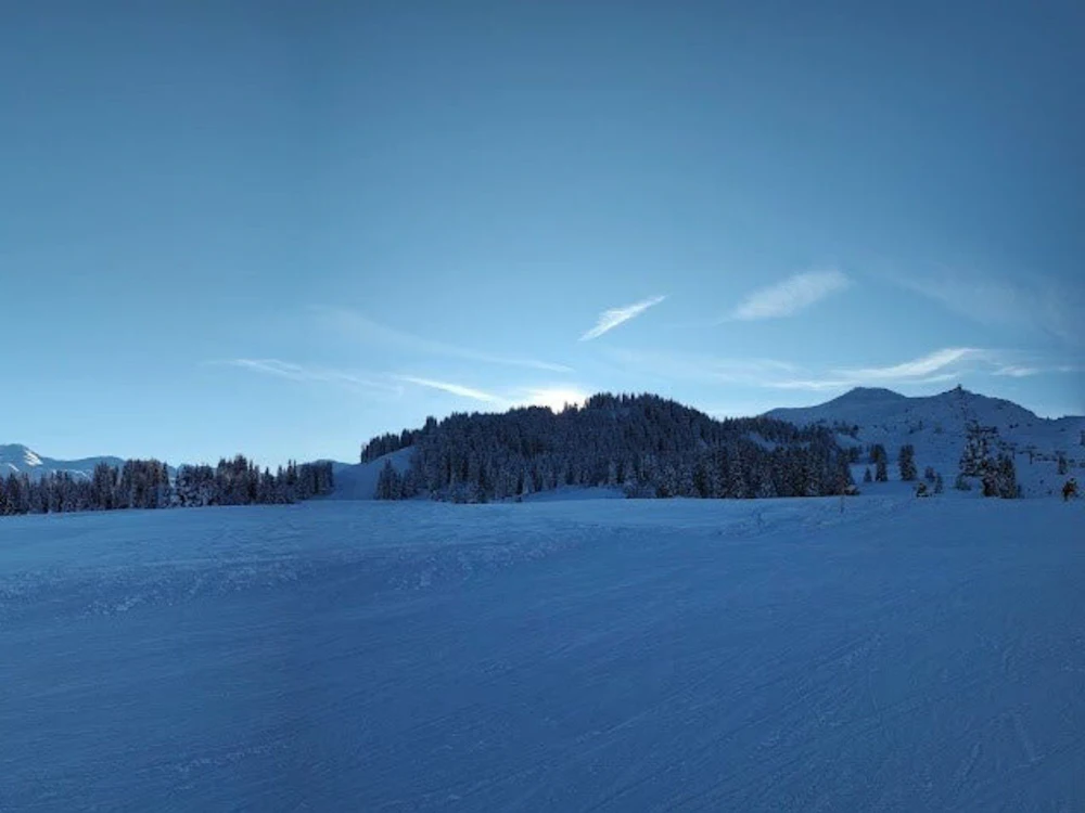 Landschaft