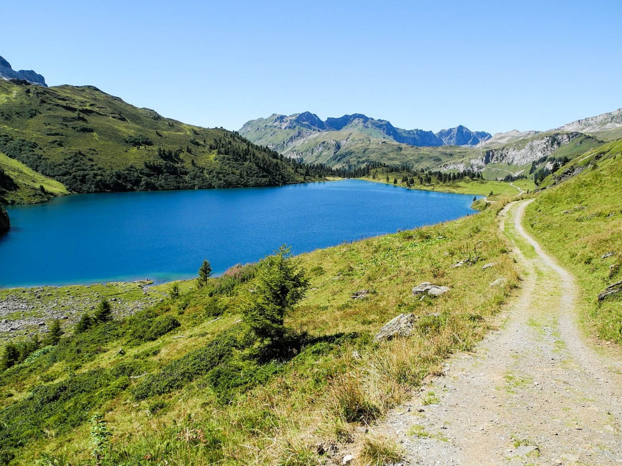 04 メルヒゼーフルット Pixabay コピー