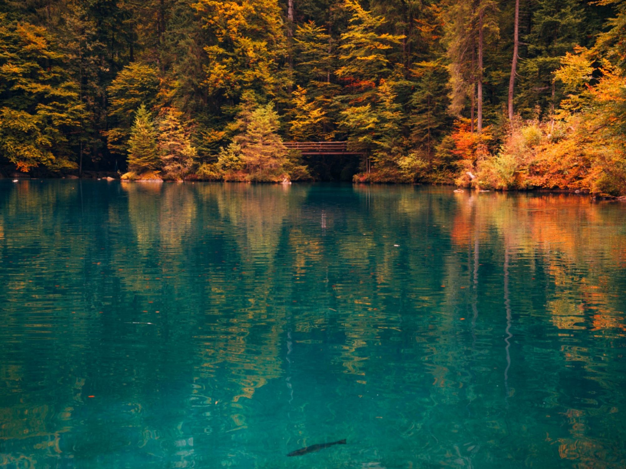 Blausee