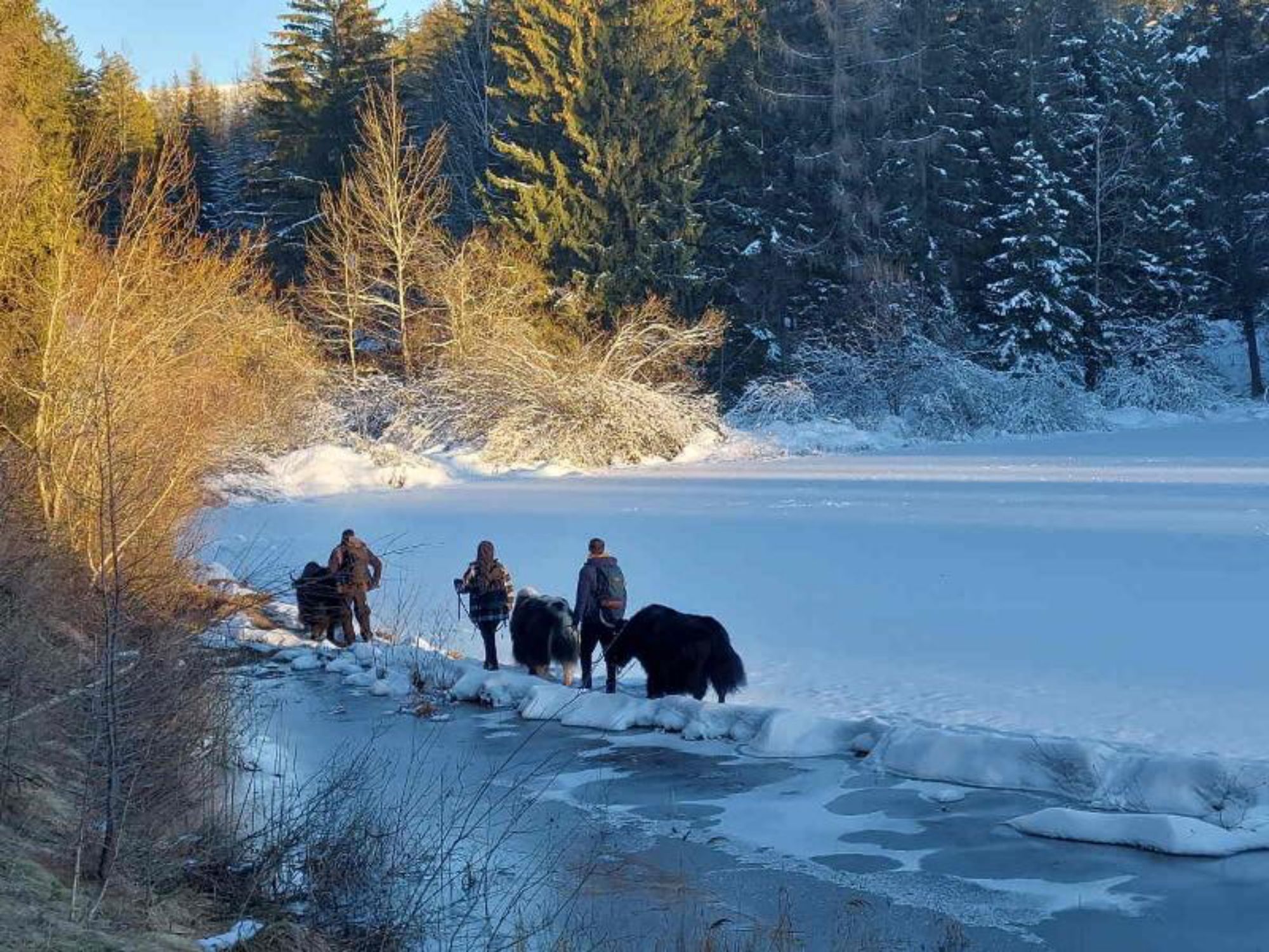 TDS00020015155929245_sized_800_0