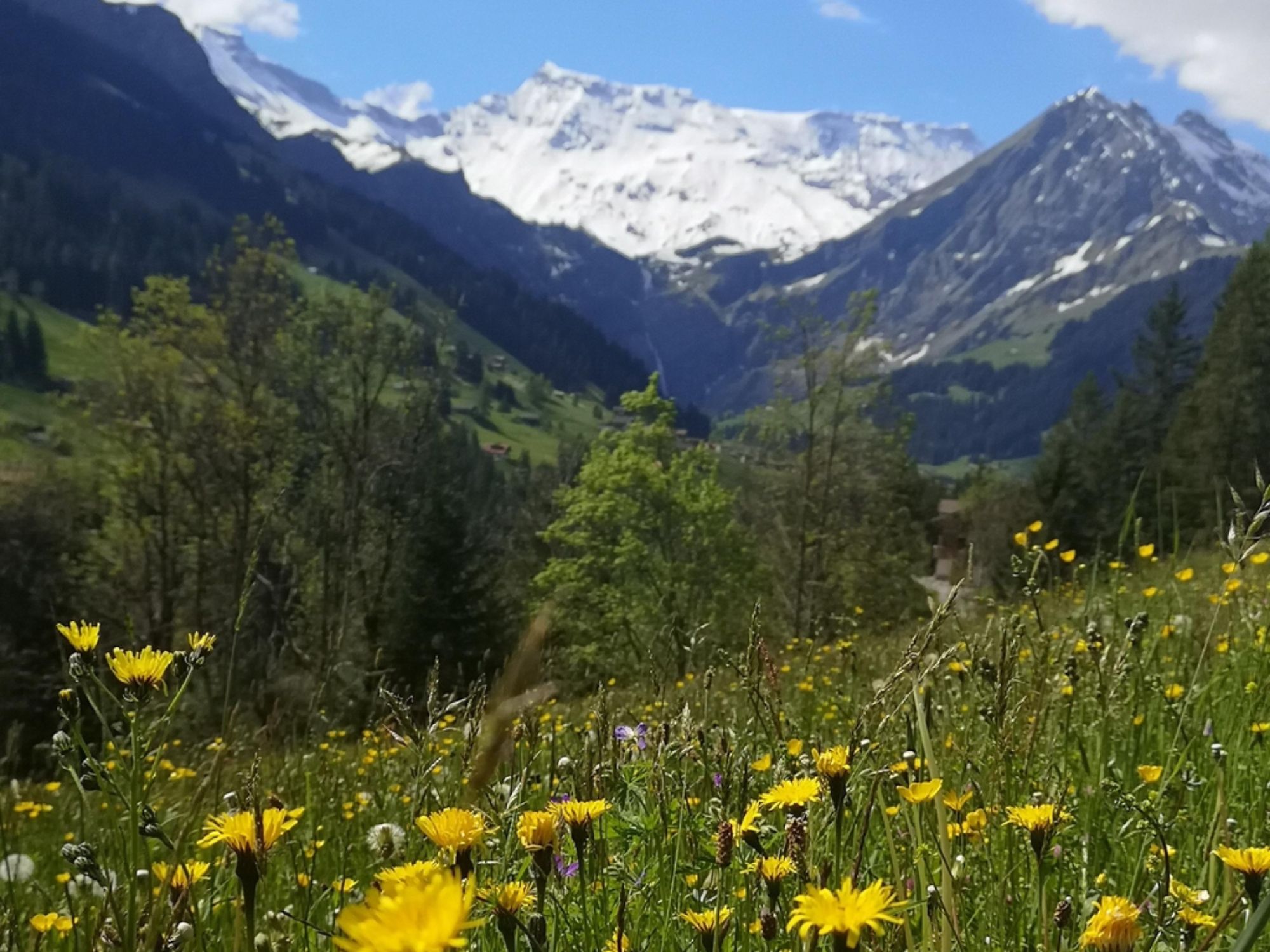 Adelboden Highlights Day Tour