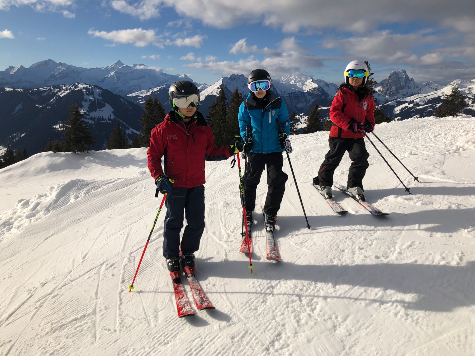 Skikurs privat für Erwachsene ab 16 Jahren in Gstaad