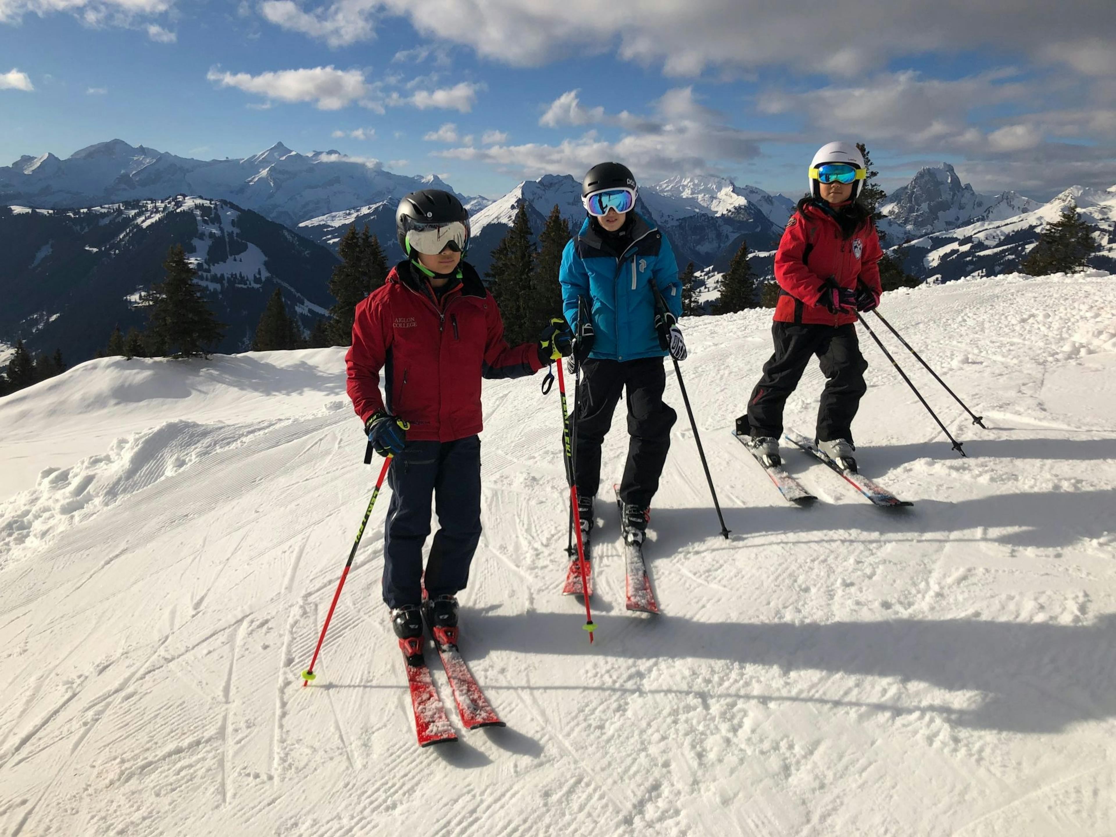 グシュタードで16歳以上の大人向けプライベートスキー教室