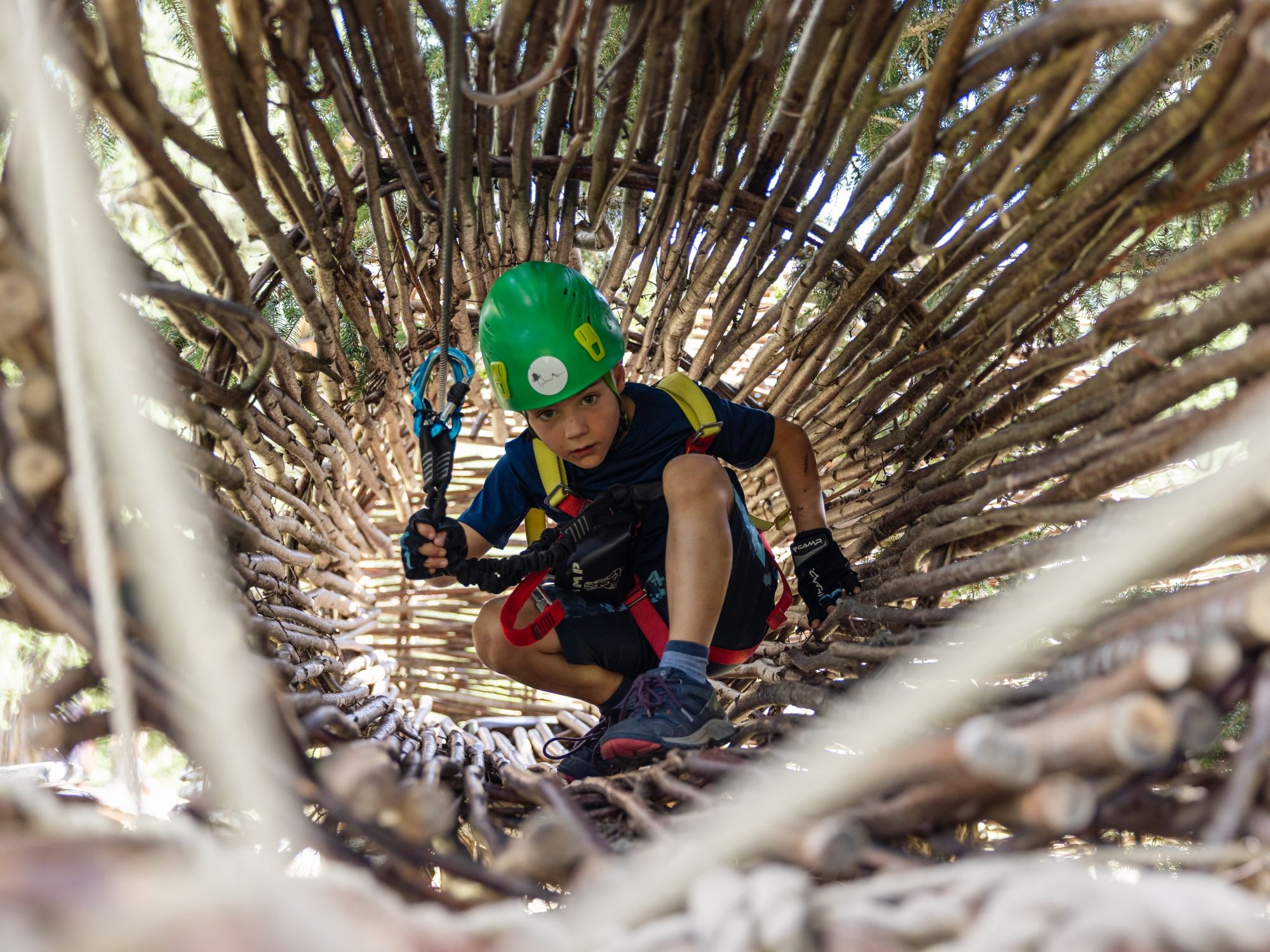 2023_阿尔卑斯公园_夏季_byFabianGattlen_R5_C8516