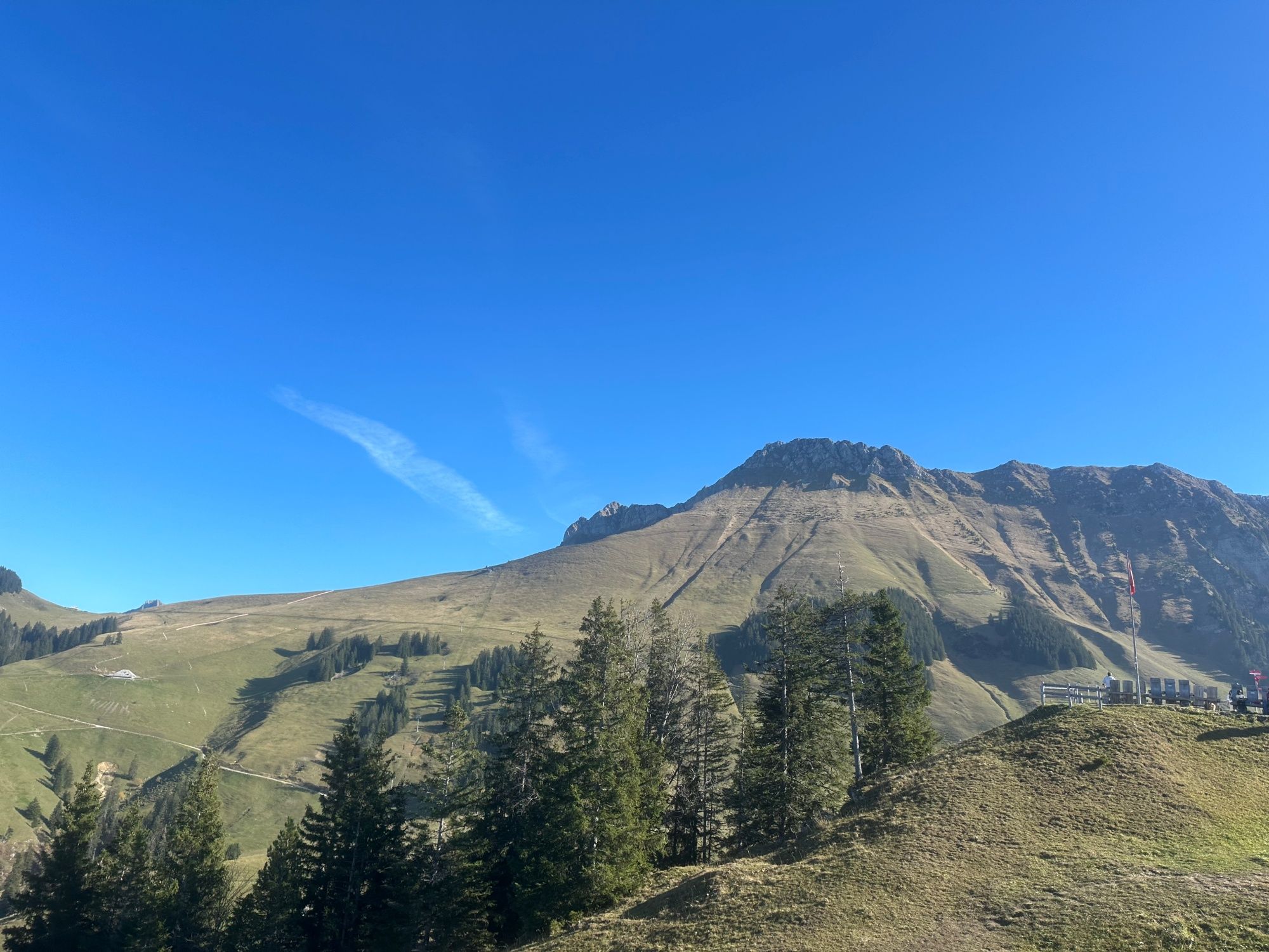 Tandemflug Schwarzsee