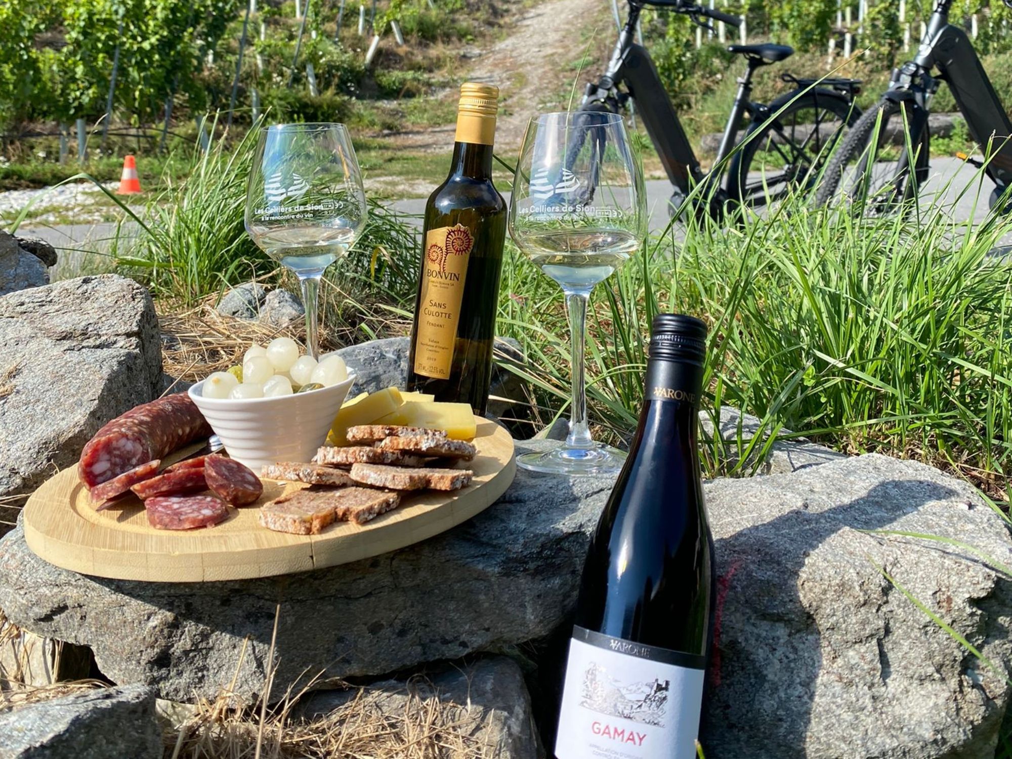 自行车葡萄园（含野餐选项）