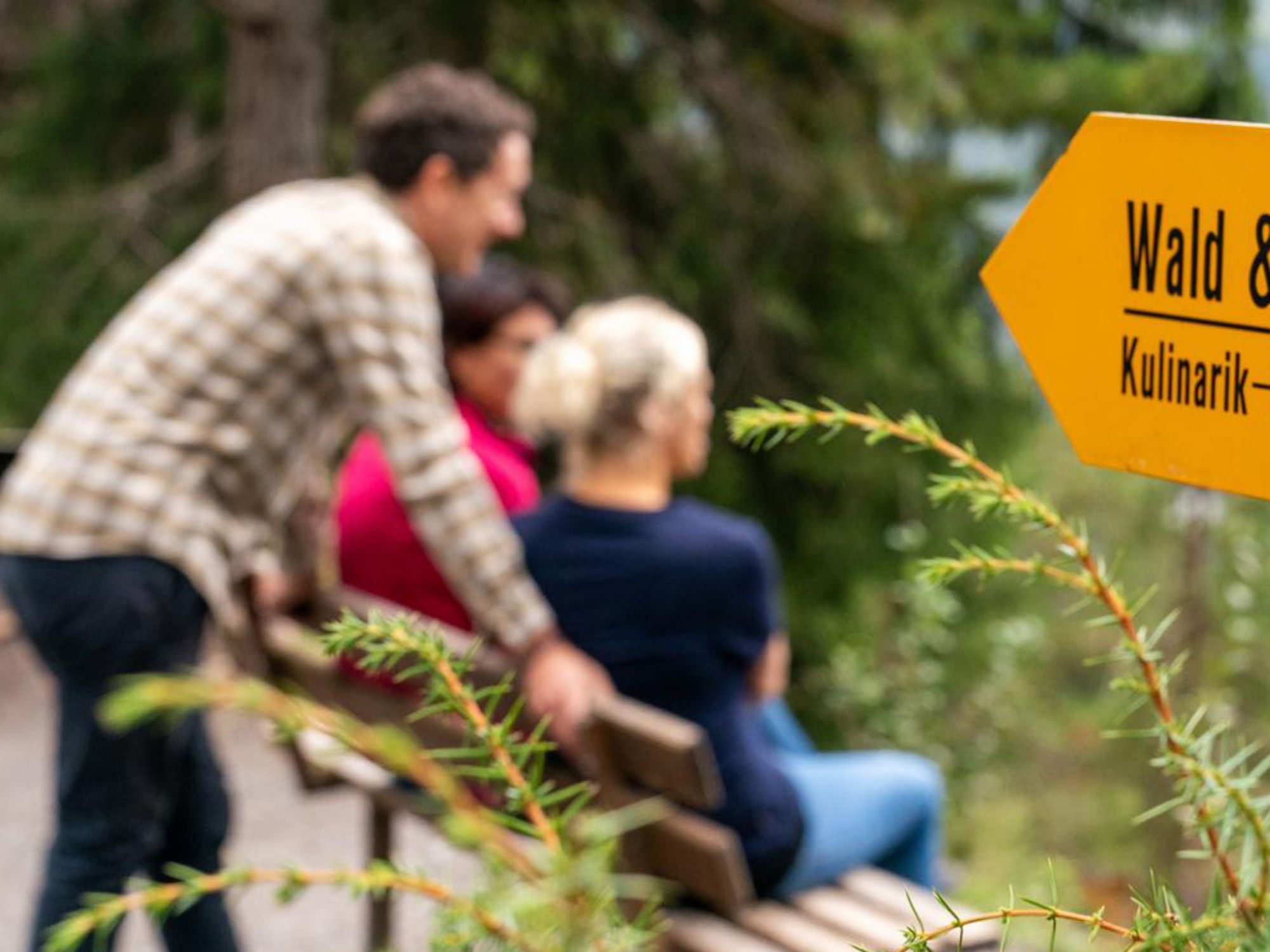 Kulinarische Wanderung