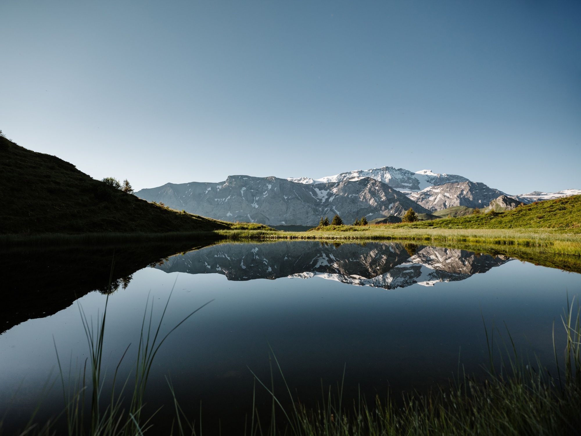 Alpenbloemenweg Adelboden (4)