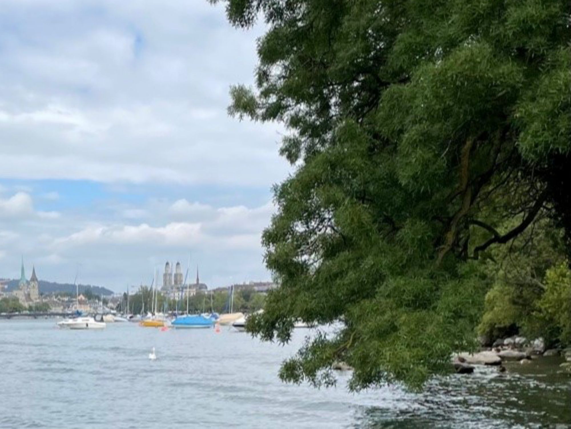 صورة المنتج زيورخ