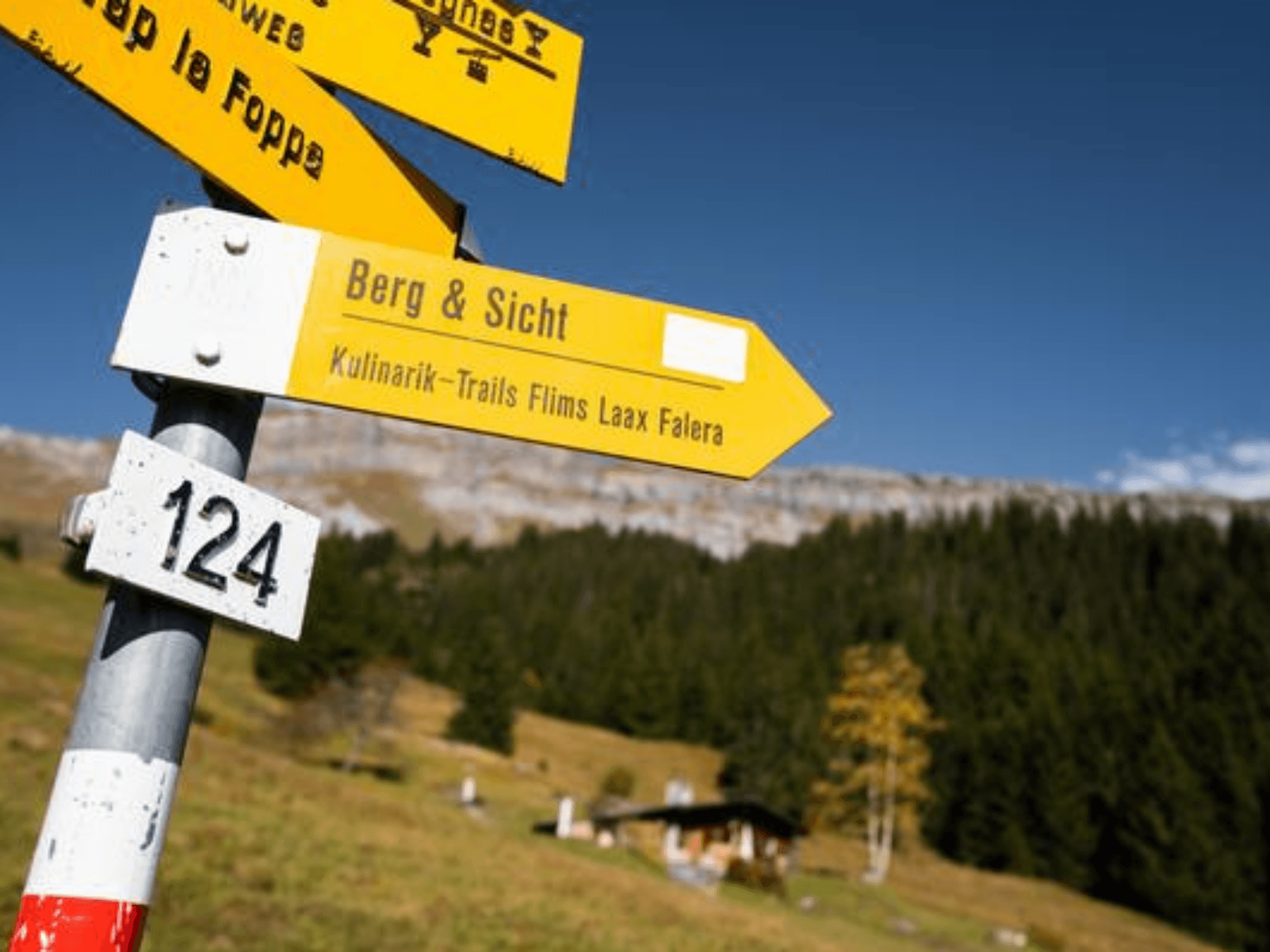 TDS00020013985757634_sized_800_0