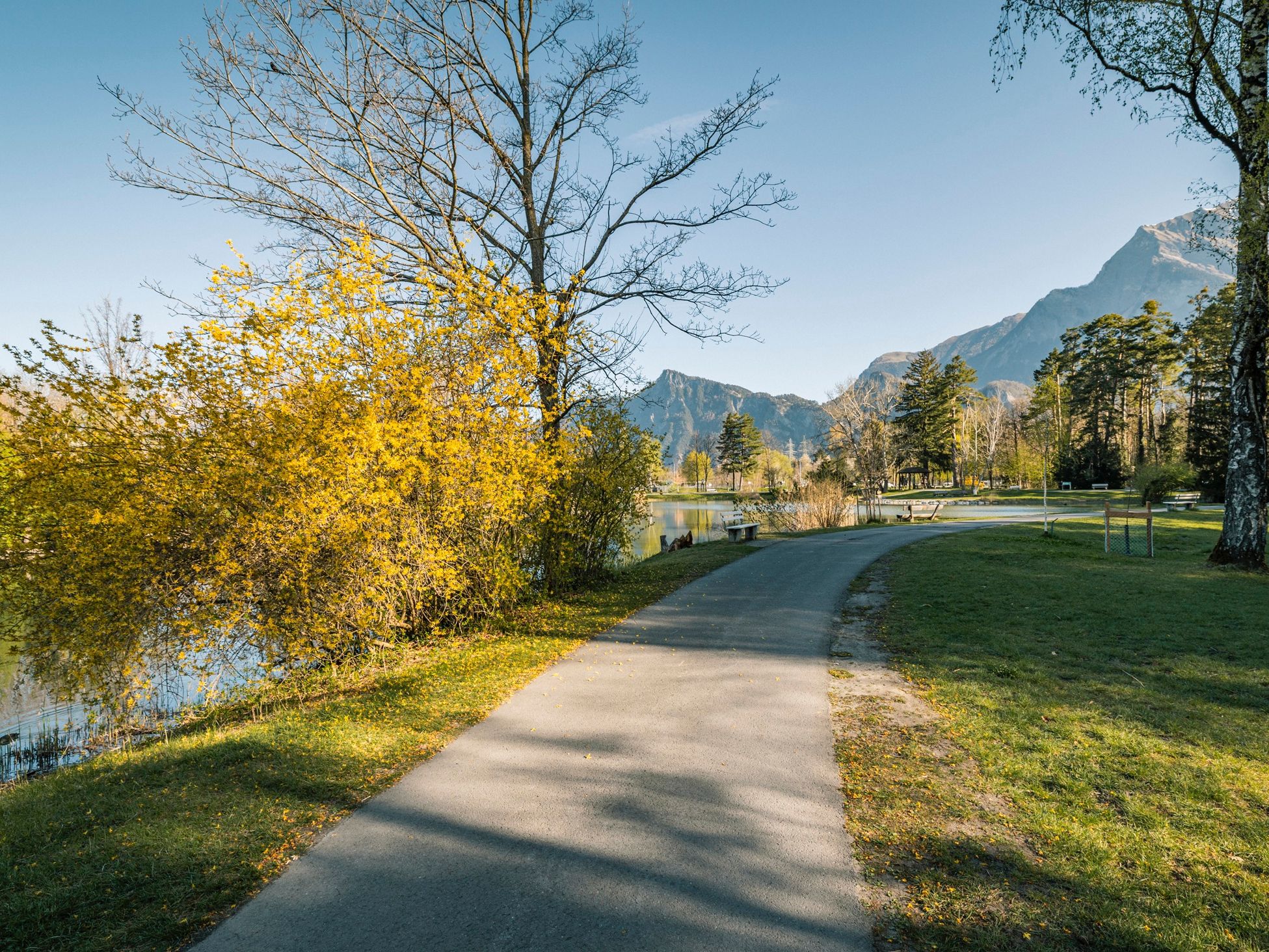 _03 tkv_hlt-primavera_0069__52_2165